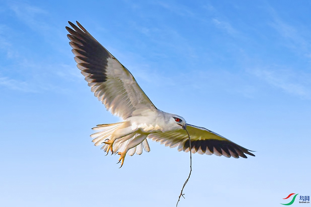 �ڳ��1 - ����.jpg