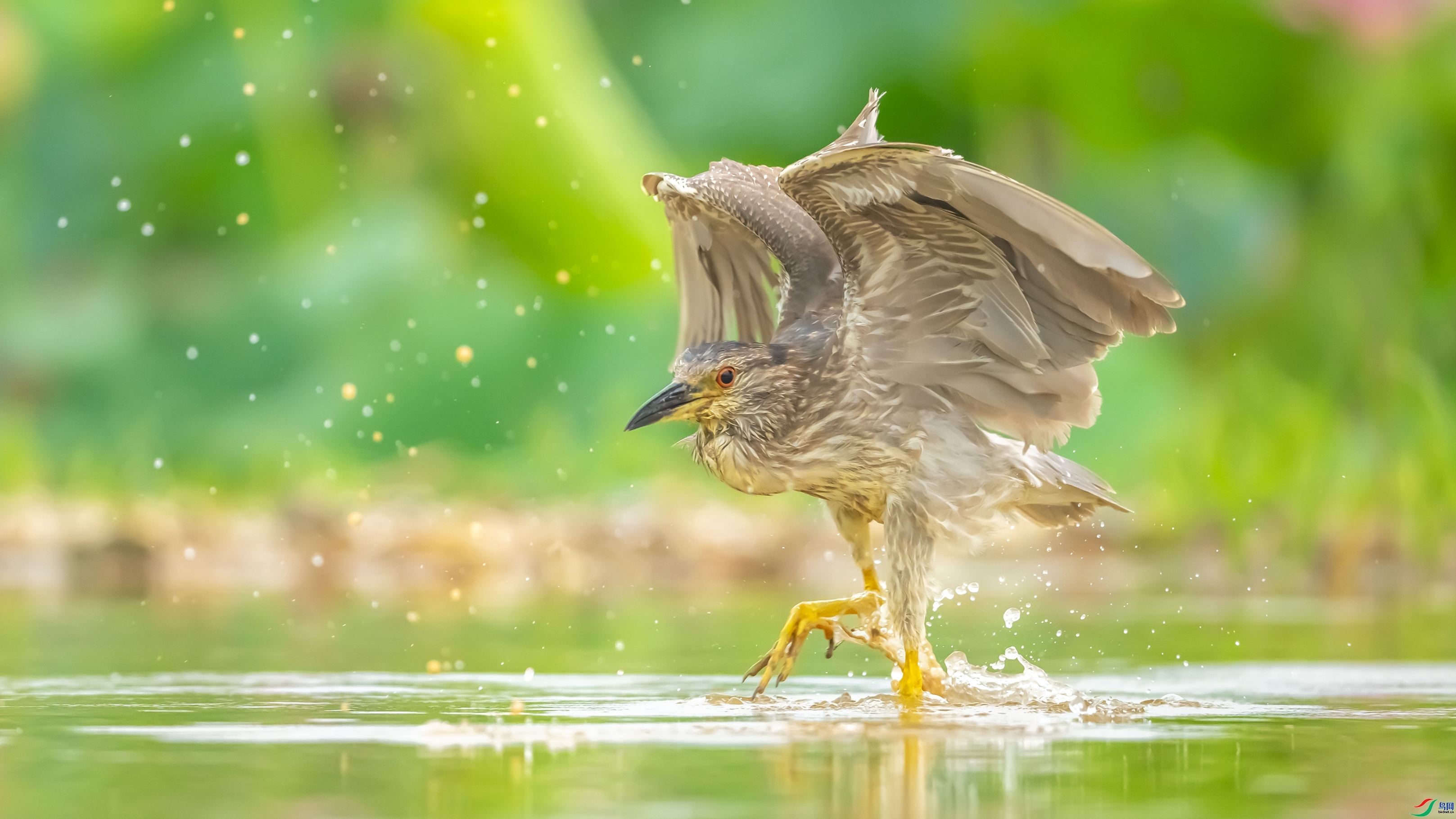 ˮ�ϰ��� ���߿�����ͷ  ����.jpg