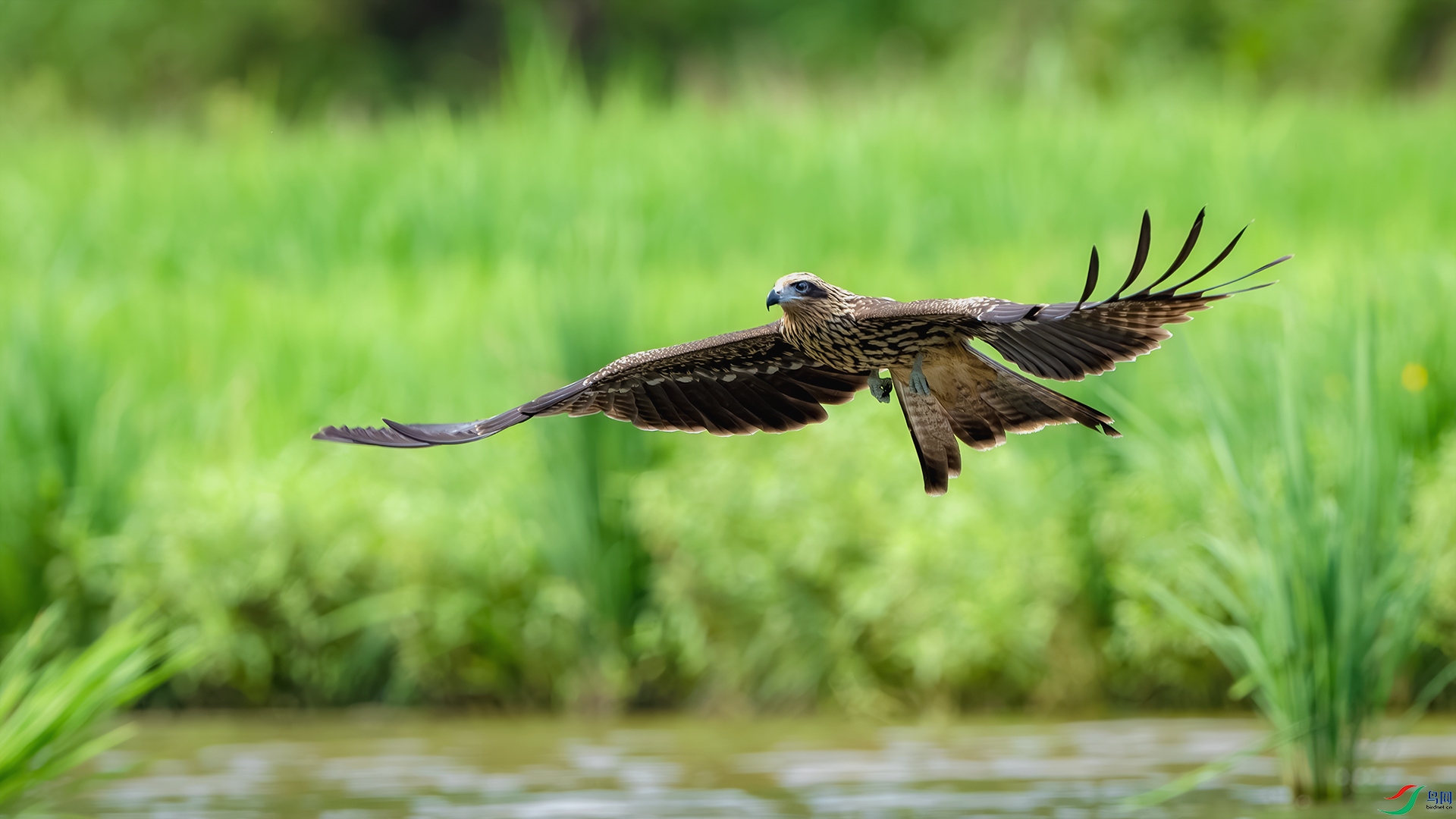 _DSC7883-����ǿ-NR ����С.jpg