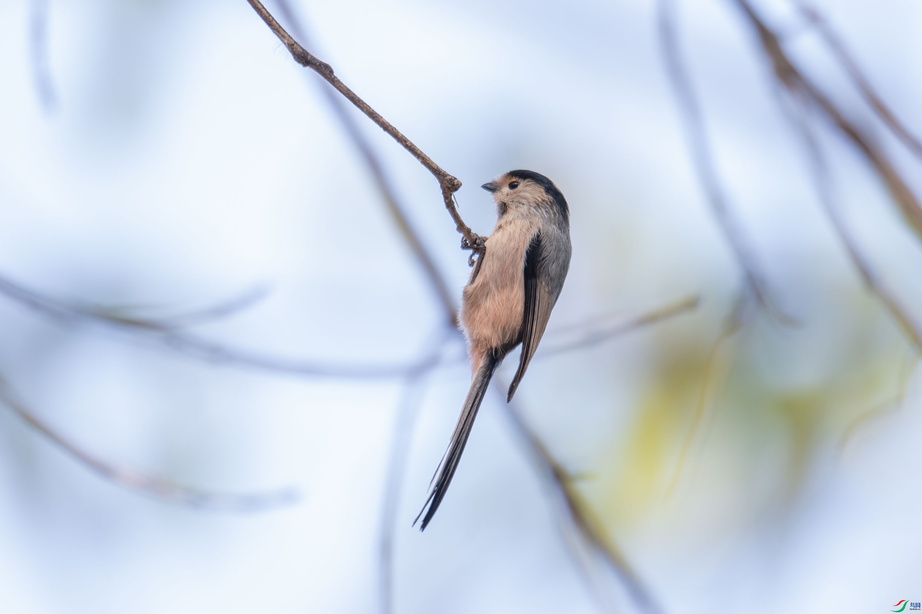 DSC_0331.jpg
