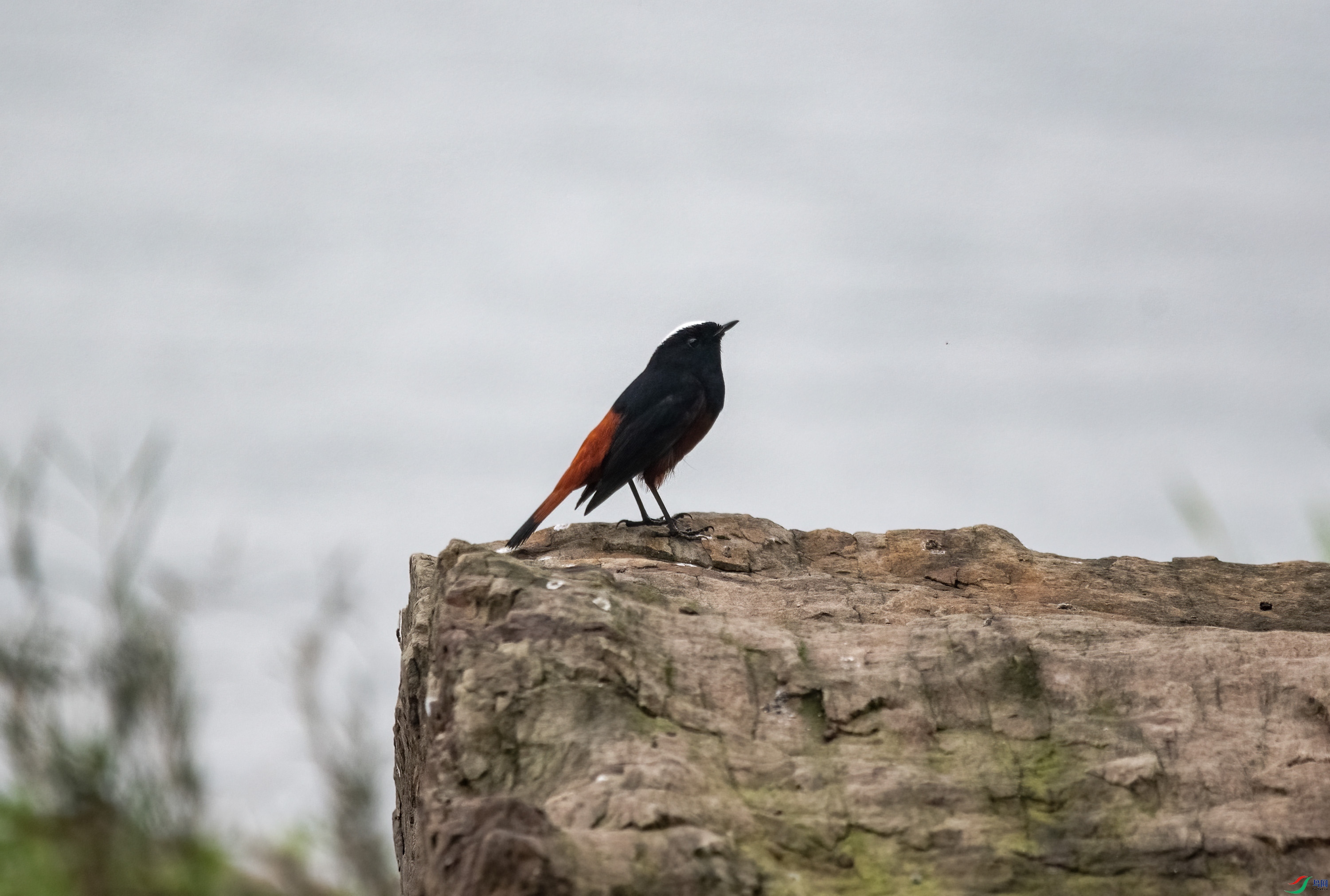 DSC_0177.jpg
