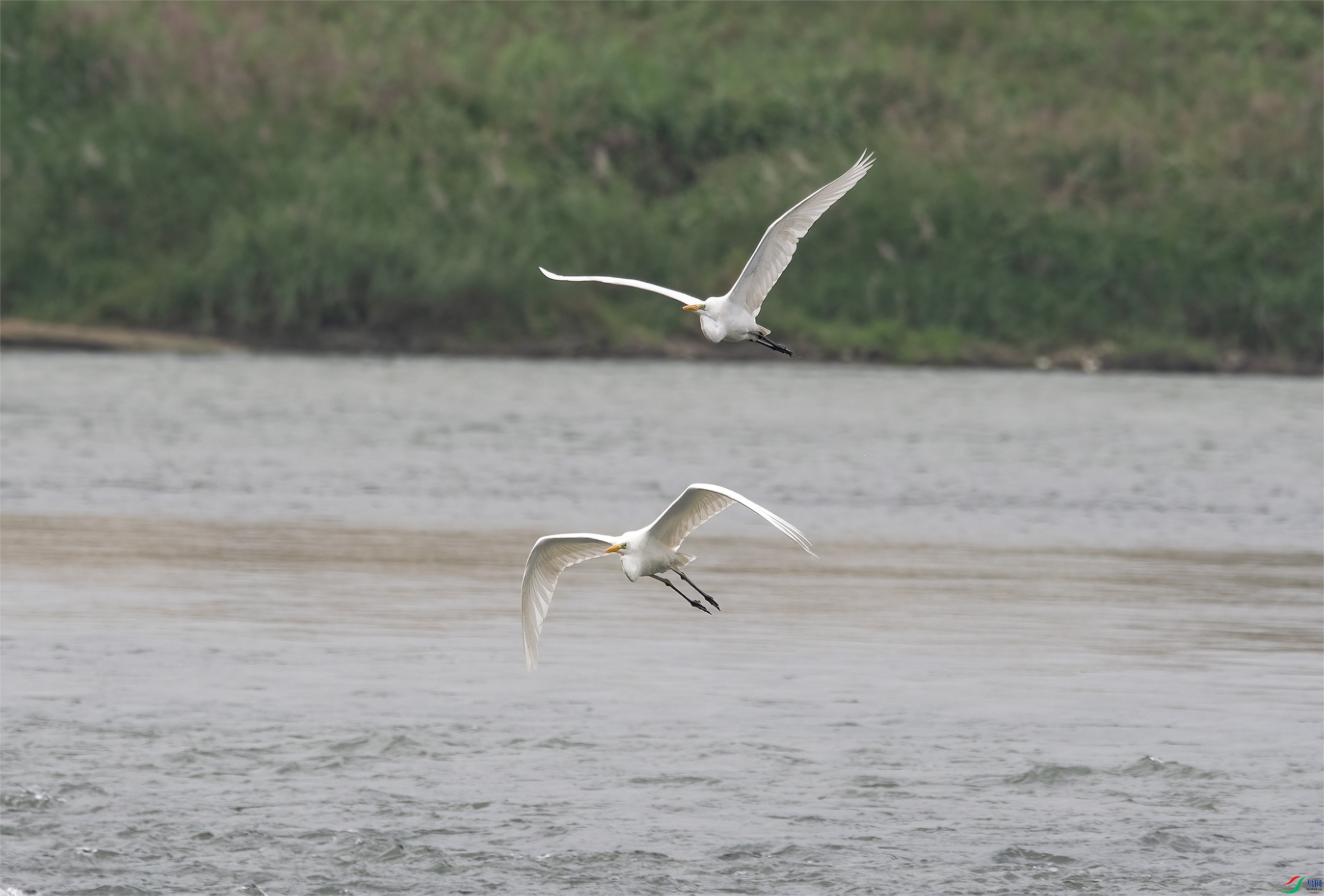 DSC_0757.jpg