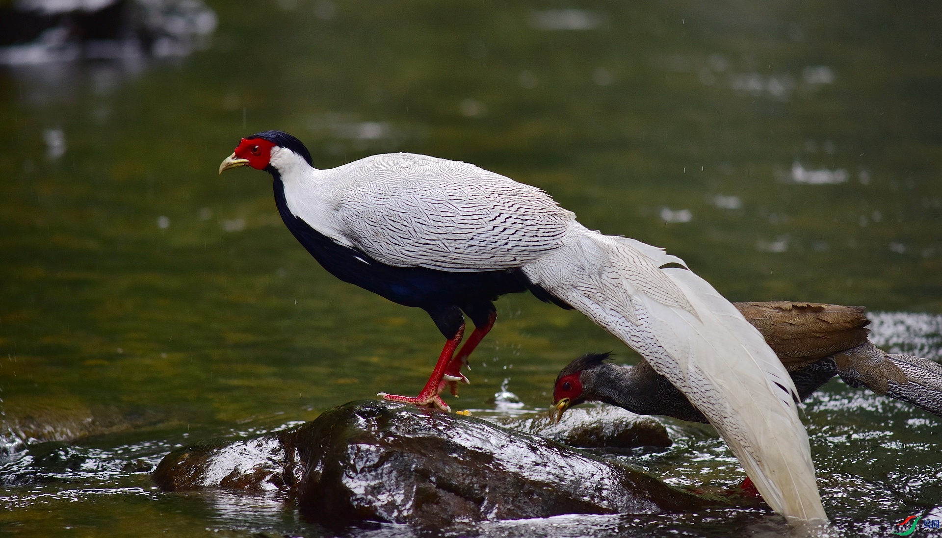D8I_8785.jpg