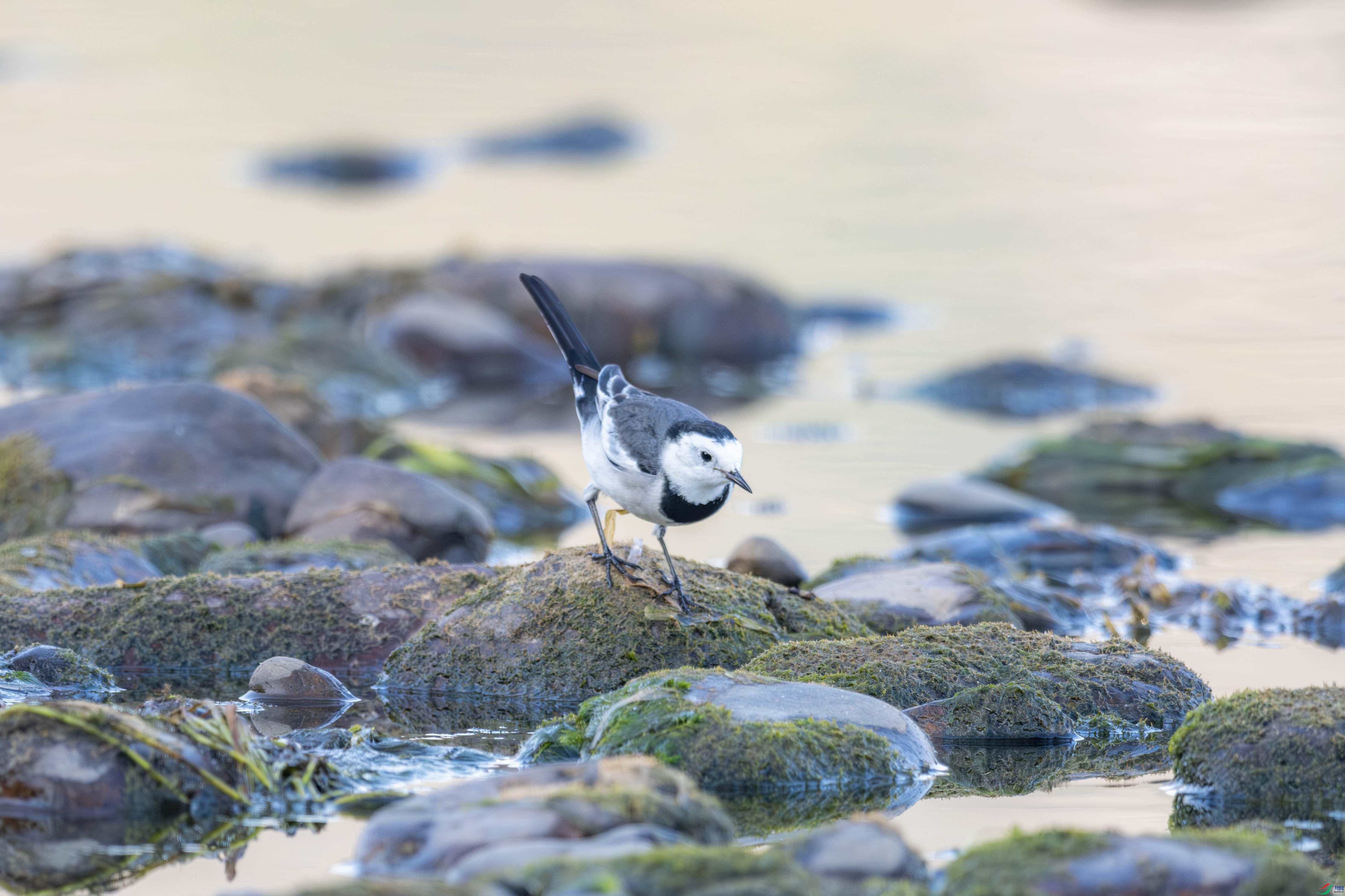 _DSC4166_1.JPG