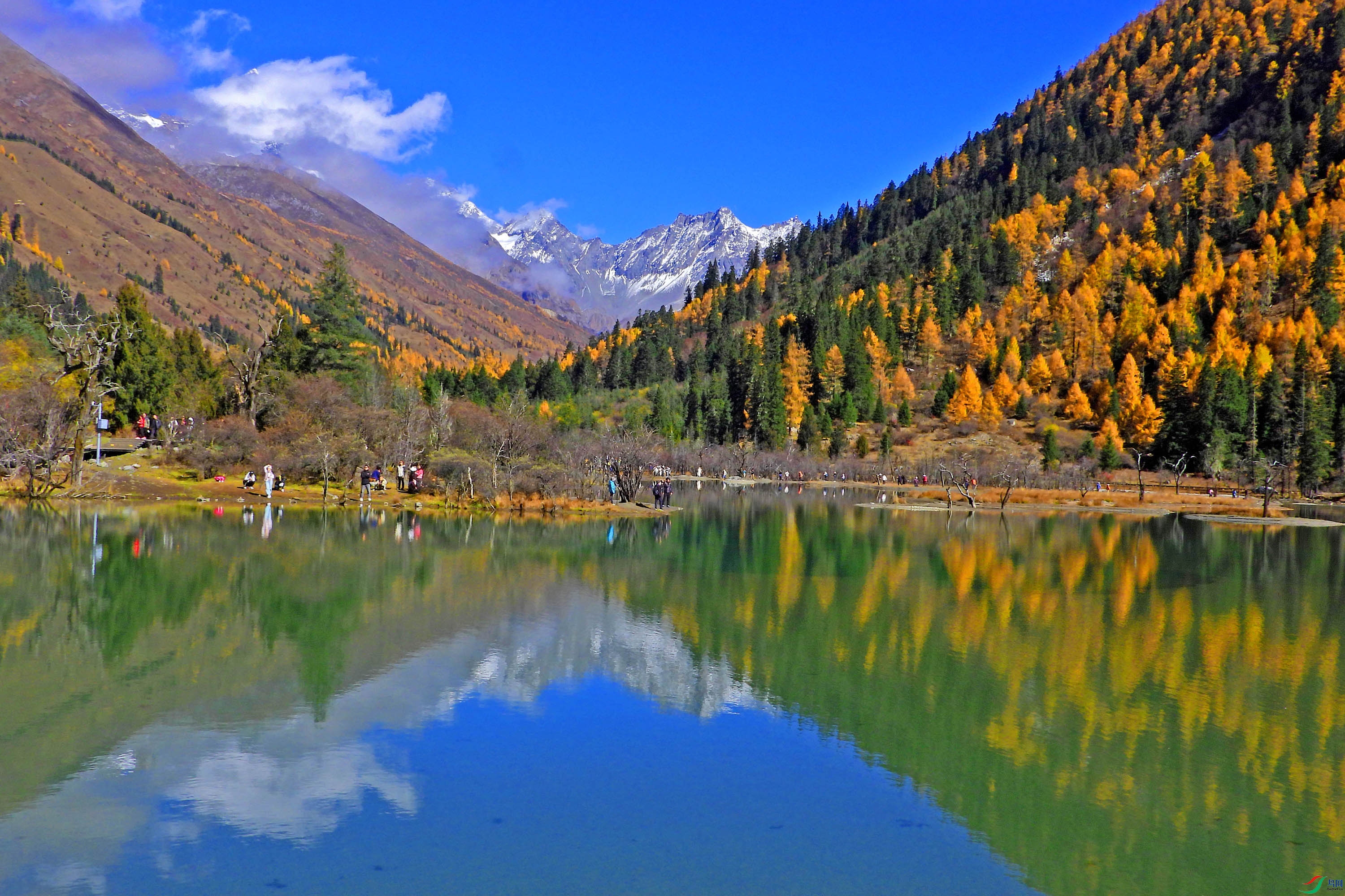 DSCN4509.JPG