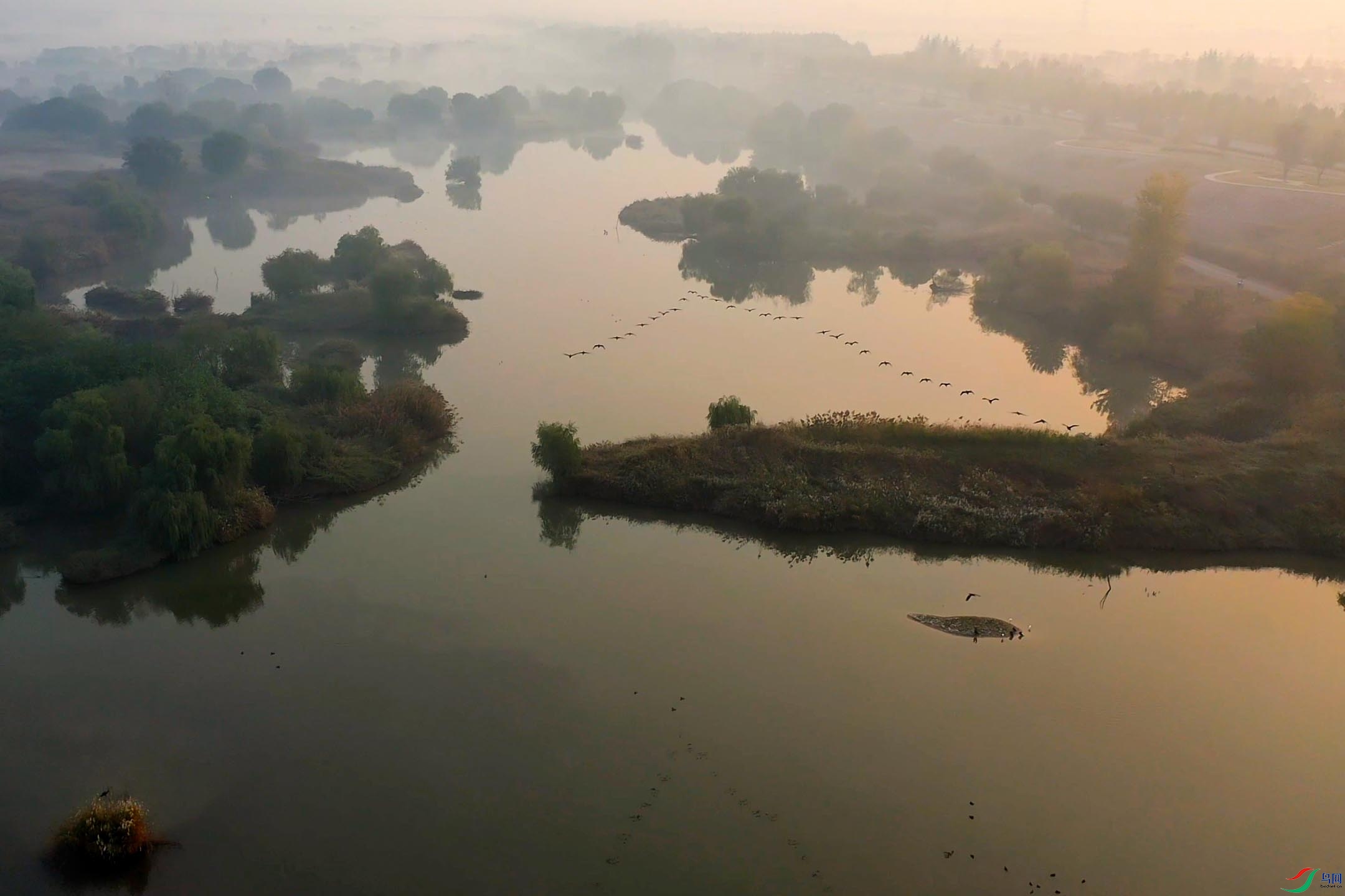 11��11��(1) ����.jpg