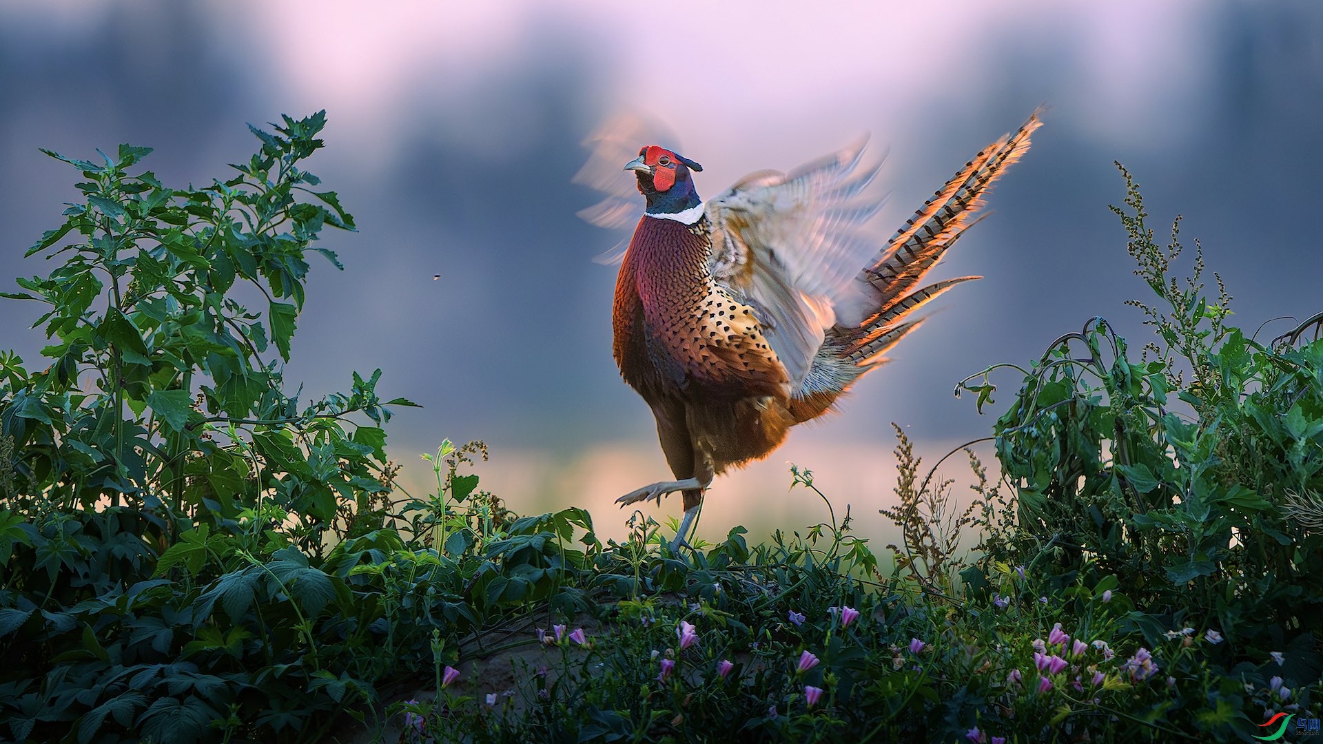 1_DSC1356-����ǿ-NR ���� 2.jpg