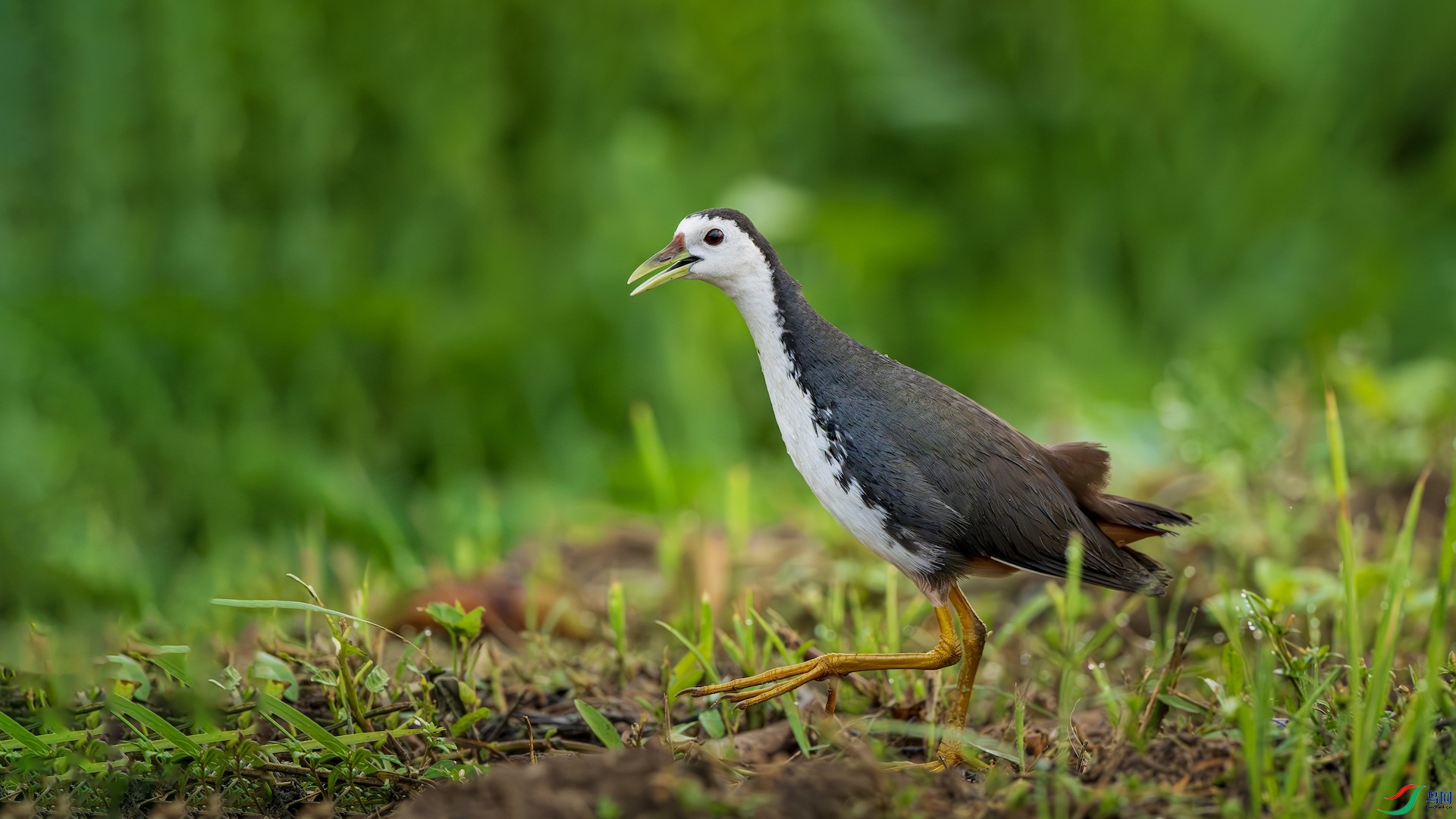 1_DSC7463-����ǿ-NR ����.jpeg