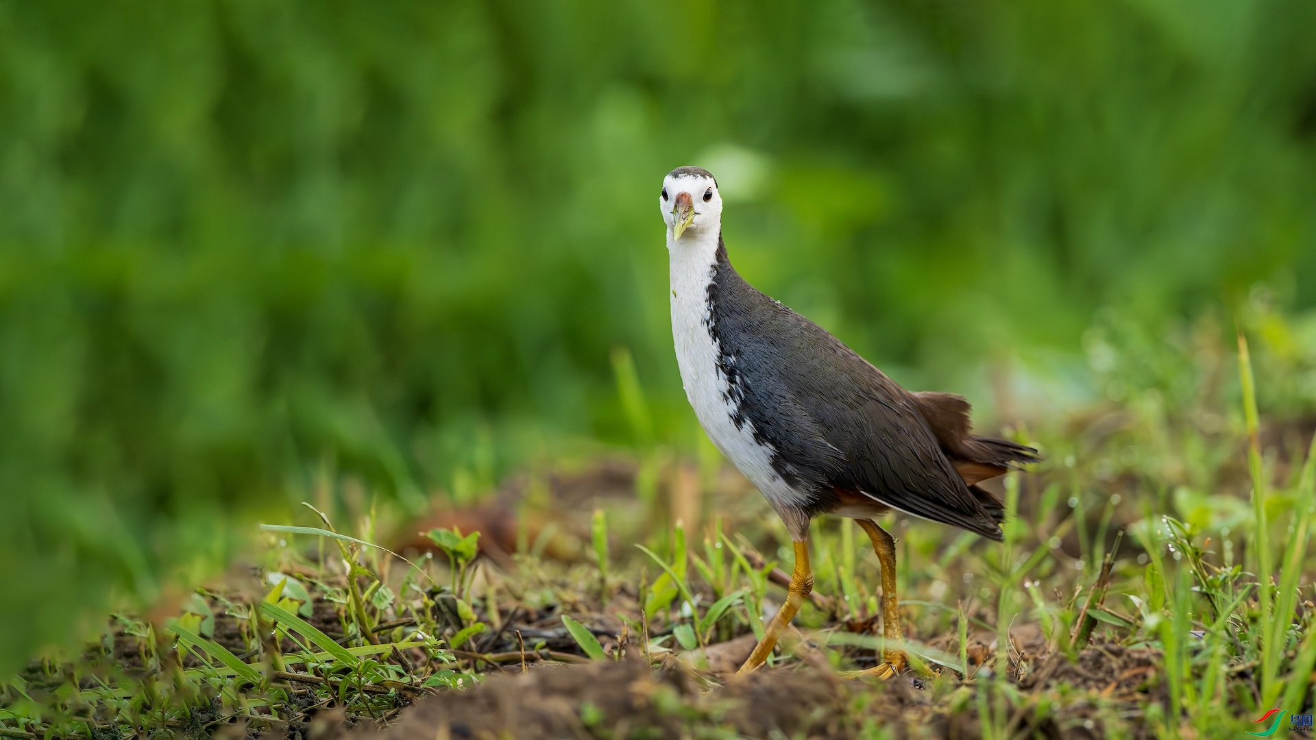 1_DSC7478-����ǿ-NR ����.jpeg