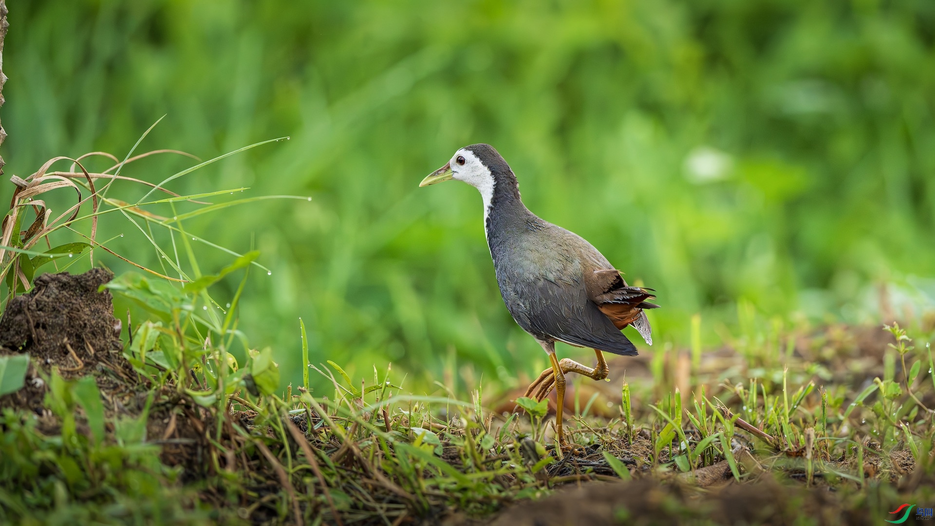 1_DSC7509-����ǿ-NR ����.jpeg