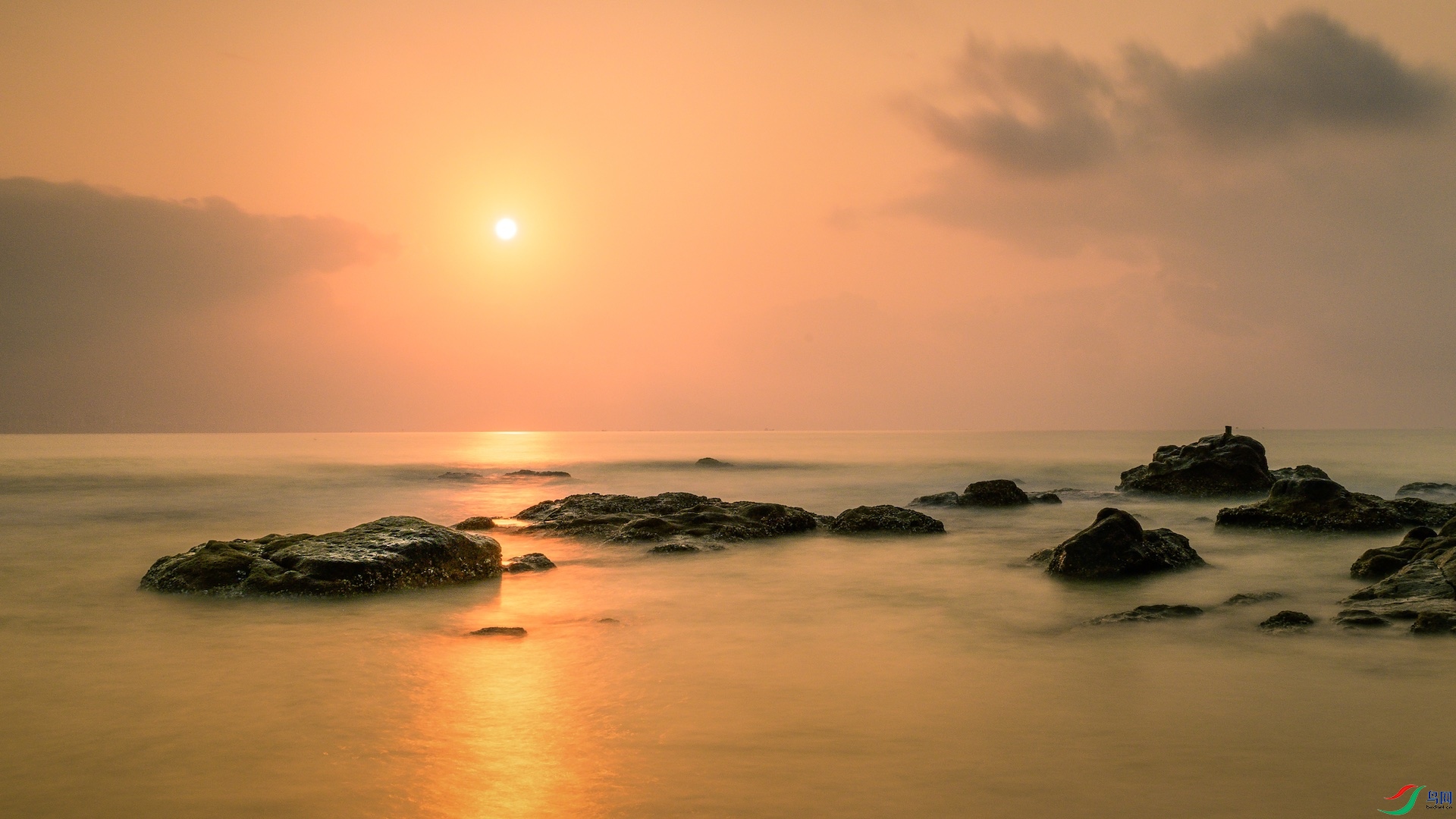 1_XXL5451 �����ĸ���.jpeg