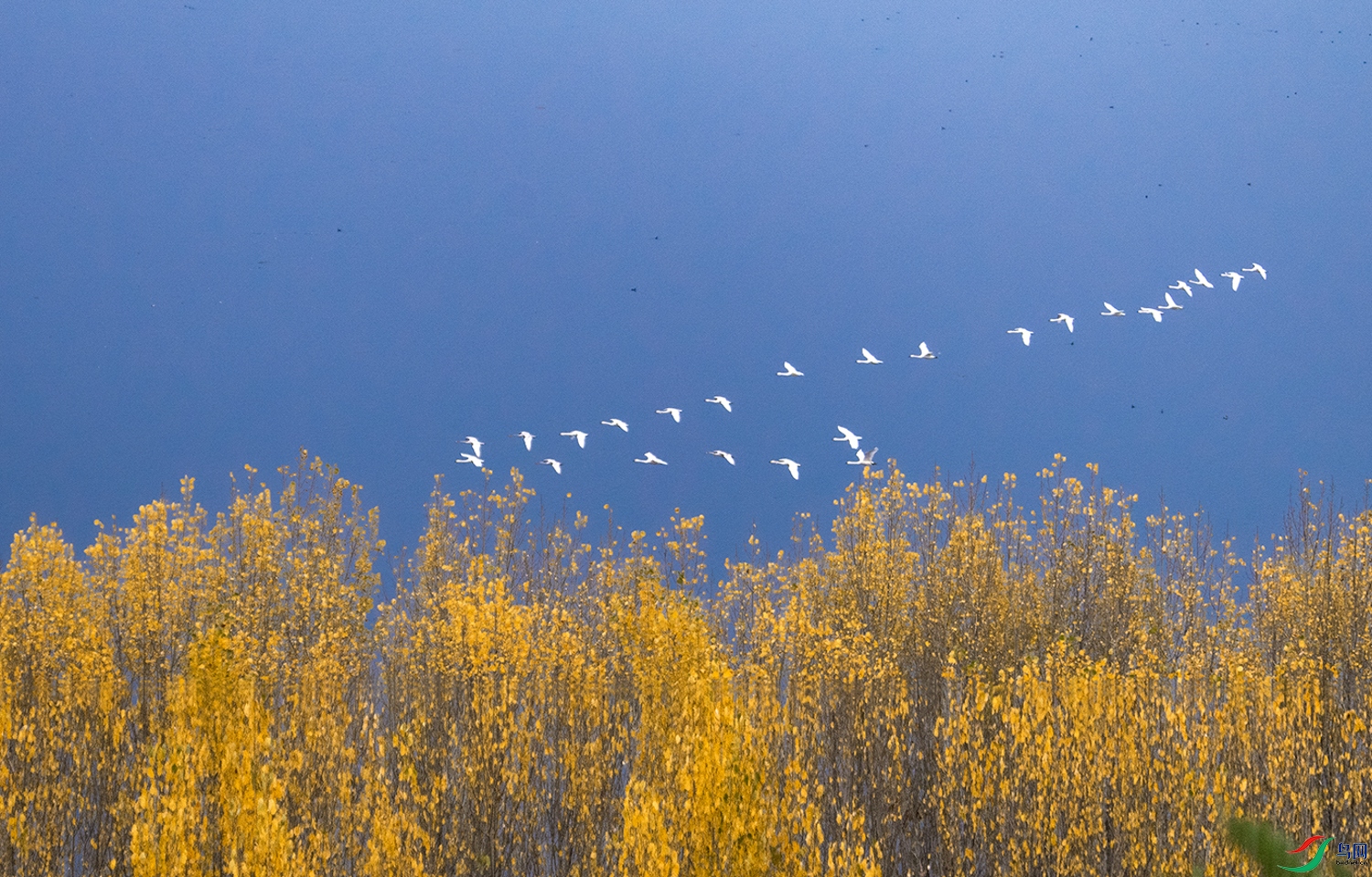 ����Ͽ �ƺ���������.jpg