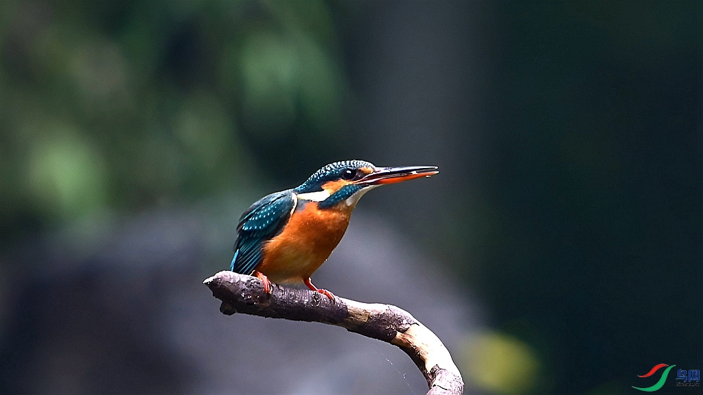 ����ͼƬ�༭��-20241111-1731321148803.jpg
