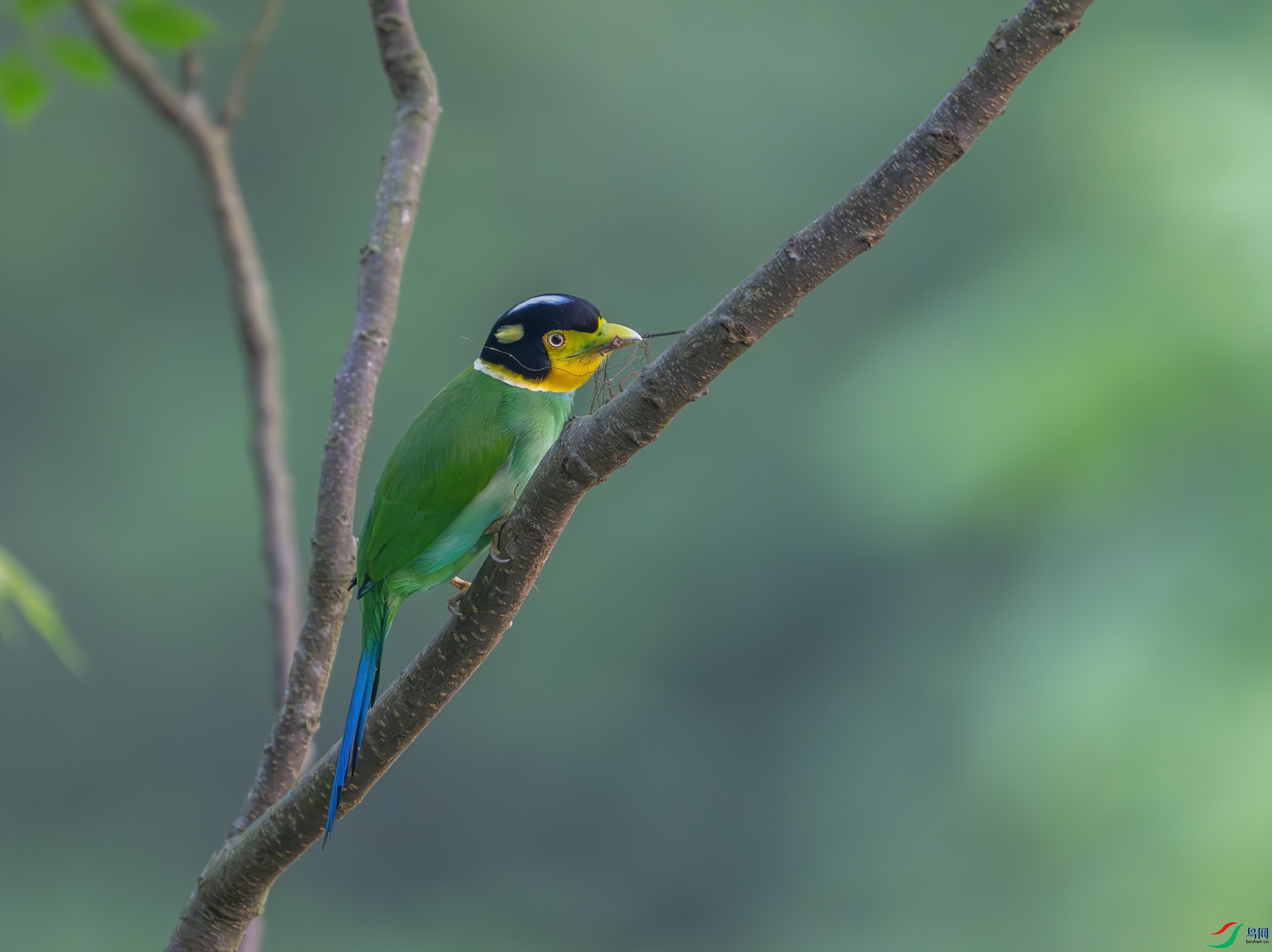 DSC_8299-1.jpg