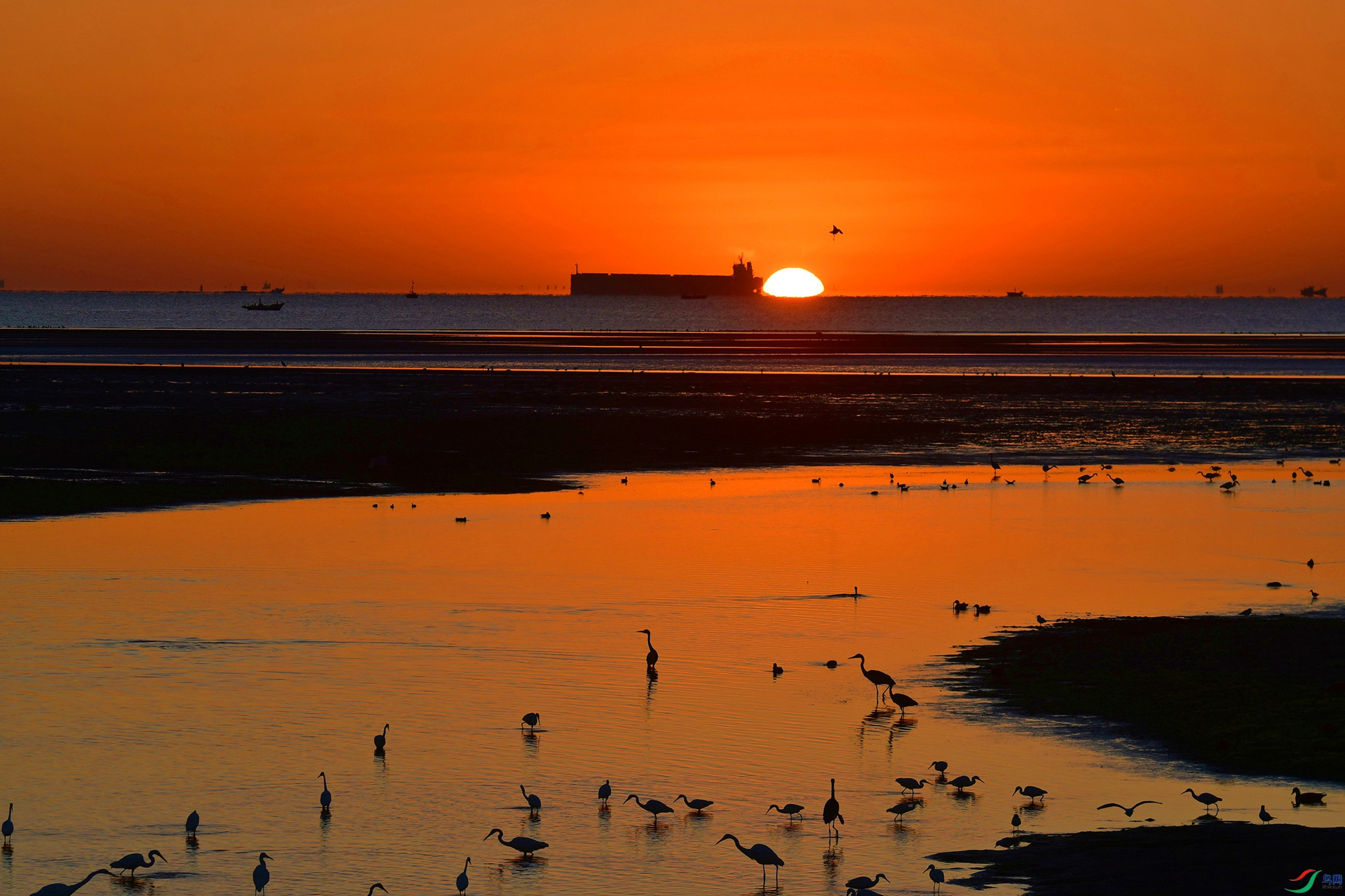 DSC_1092.JPG