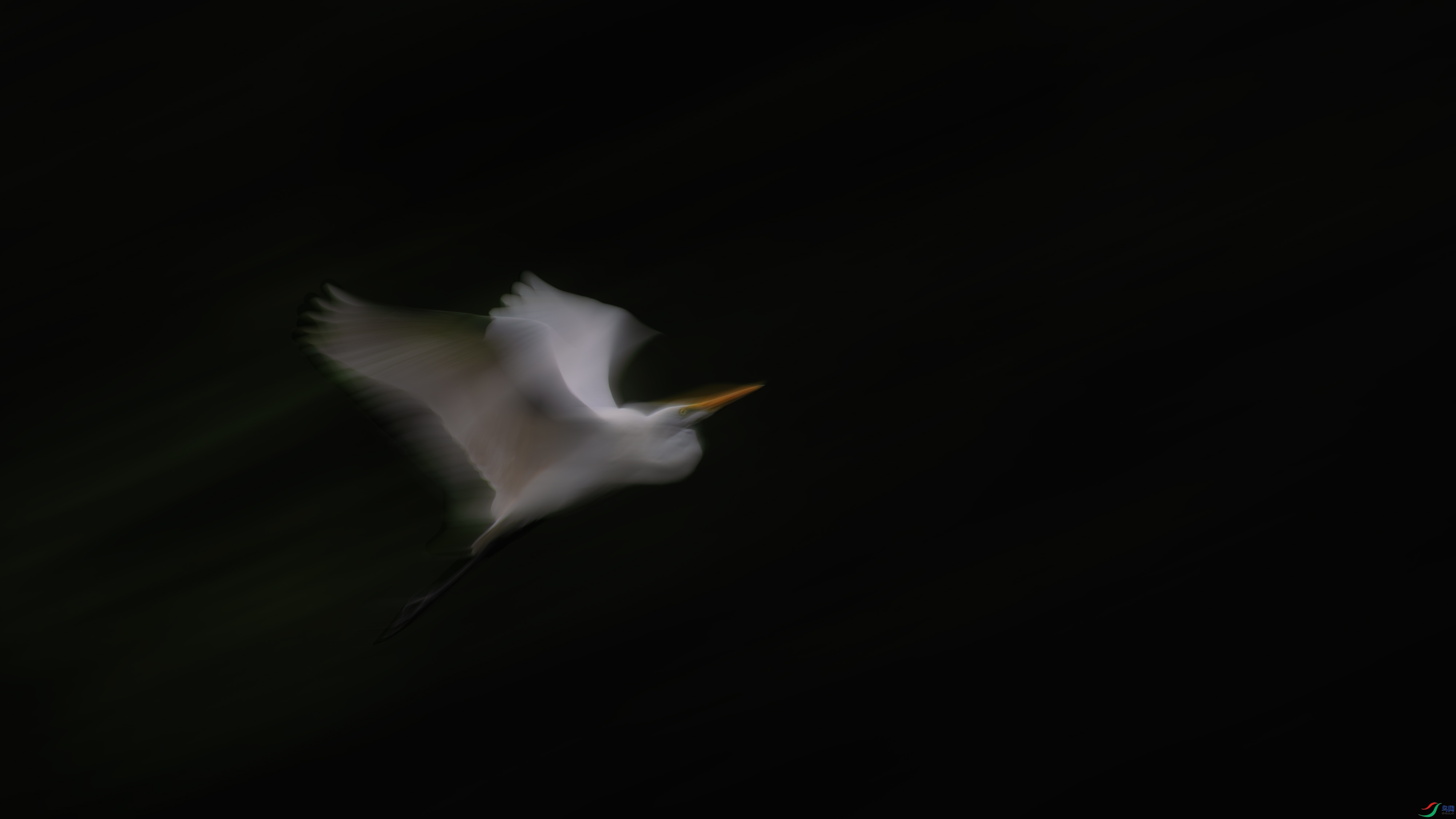 _DSC0616-����ǿ-NR ����1.jpg