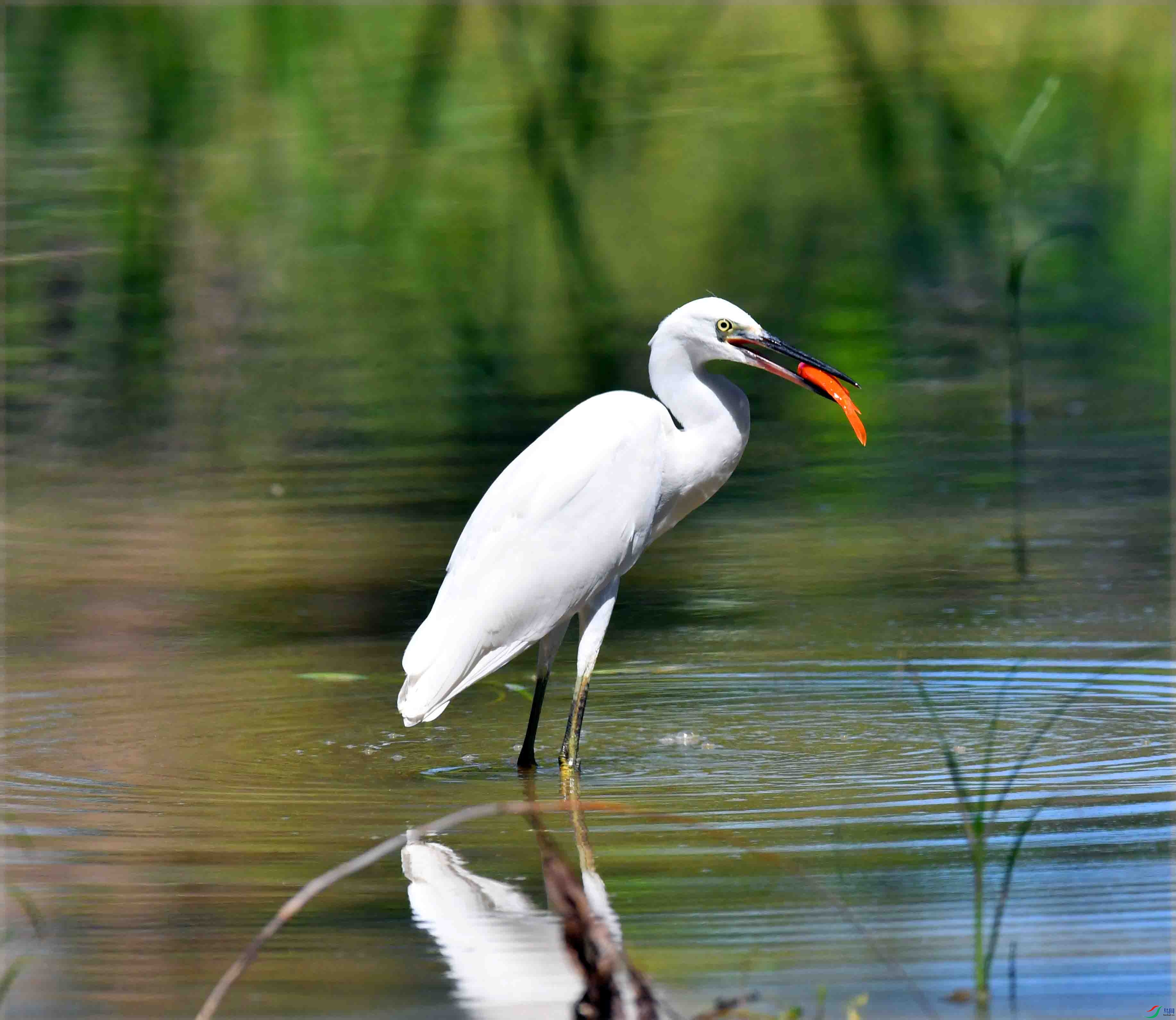 DSC_9182.JPG