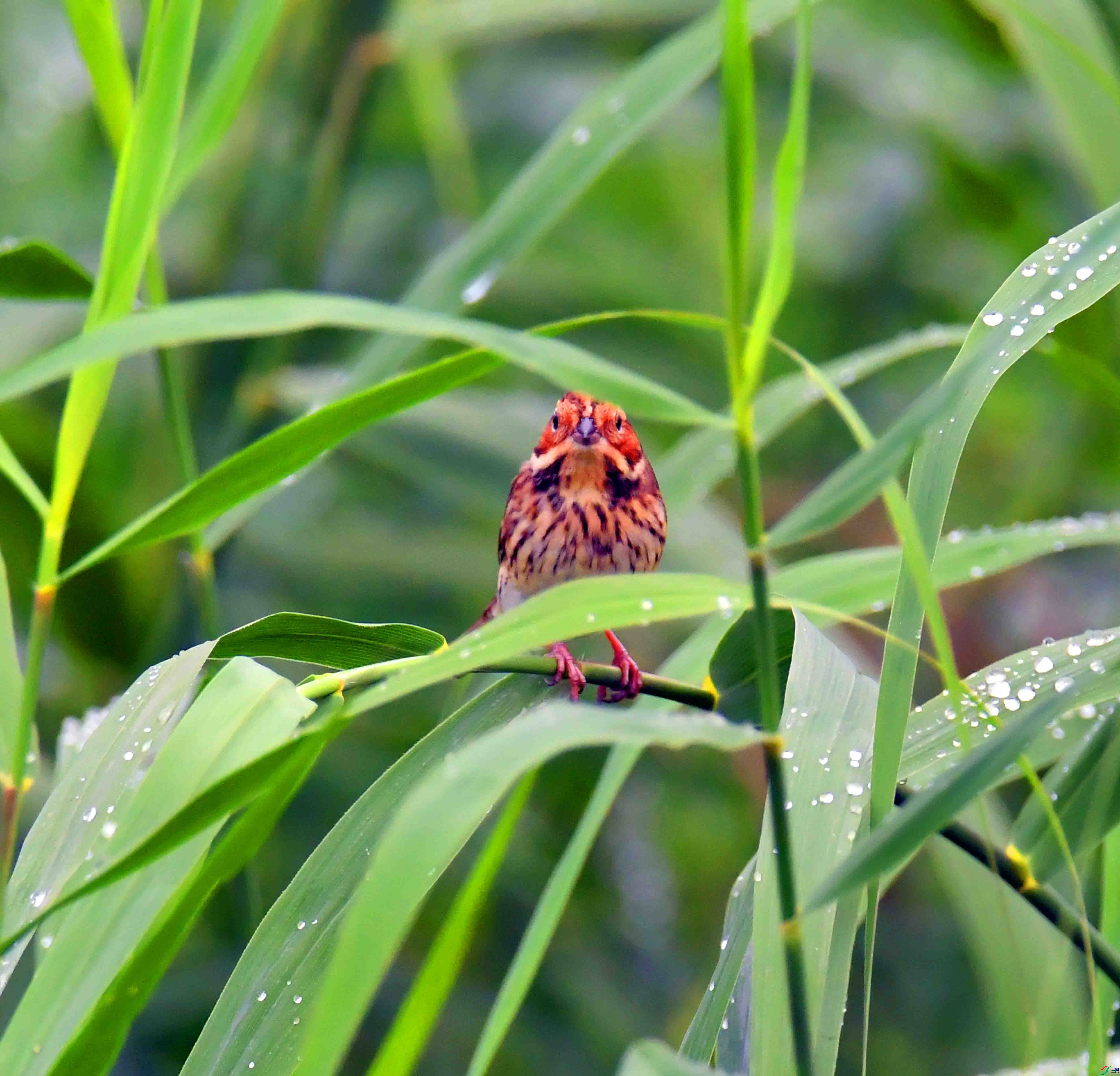 DSC_3702.JPG