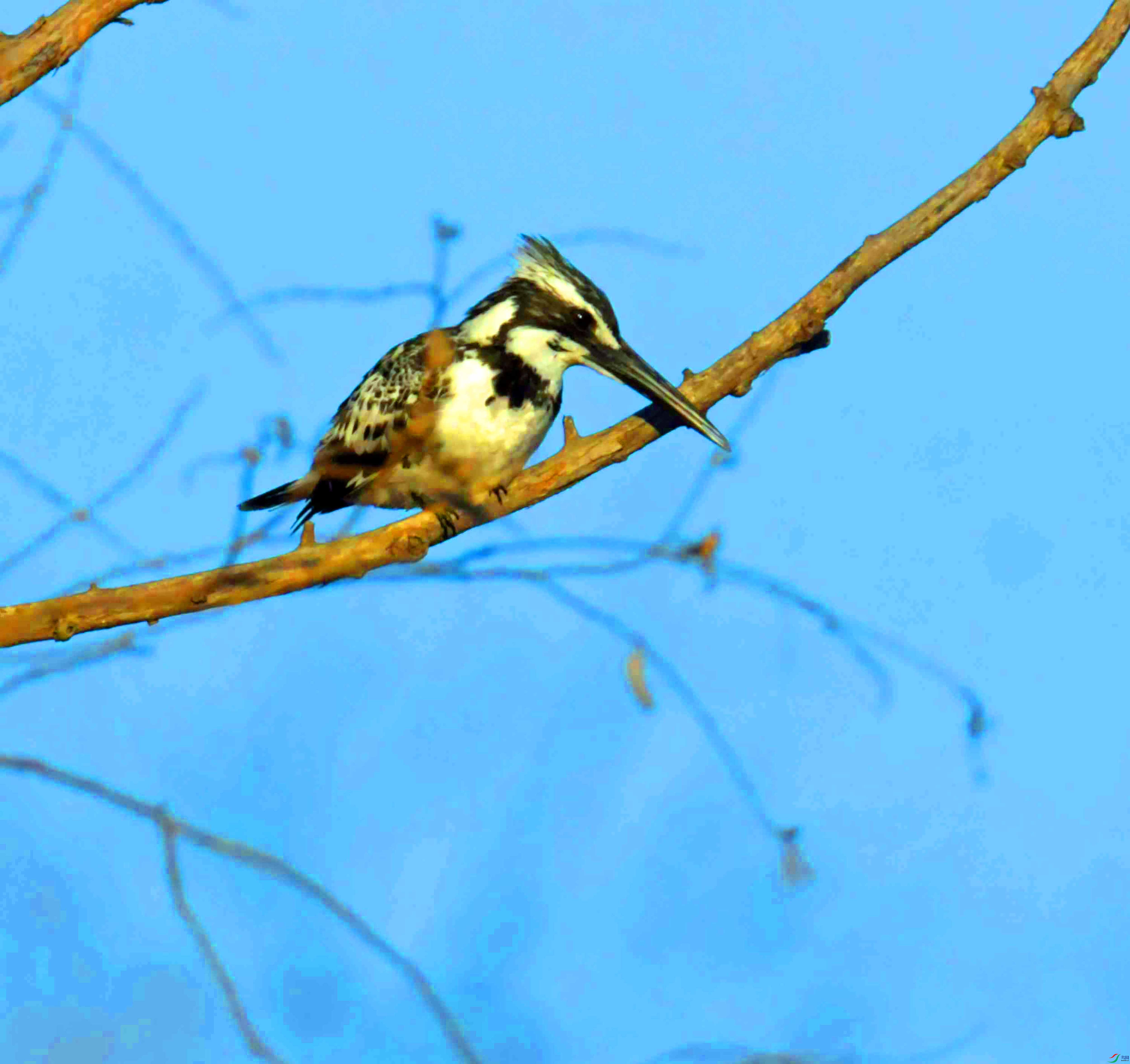DSC_3925.JPG