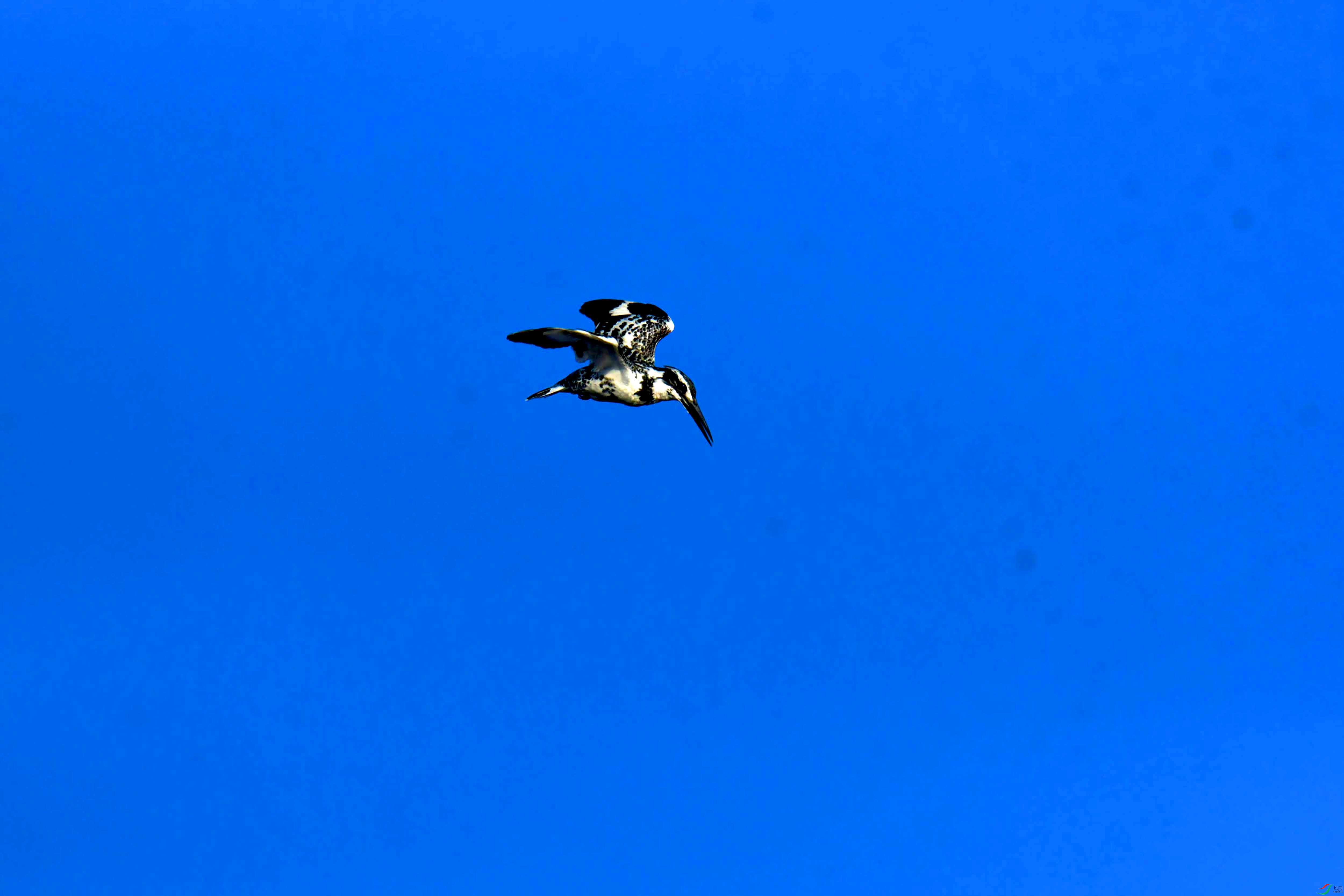 DSC_4000.JPG