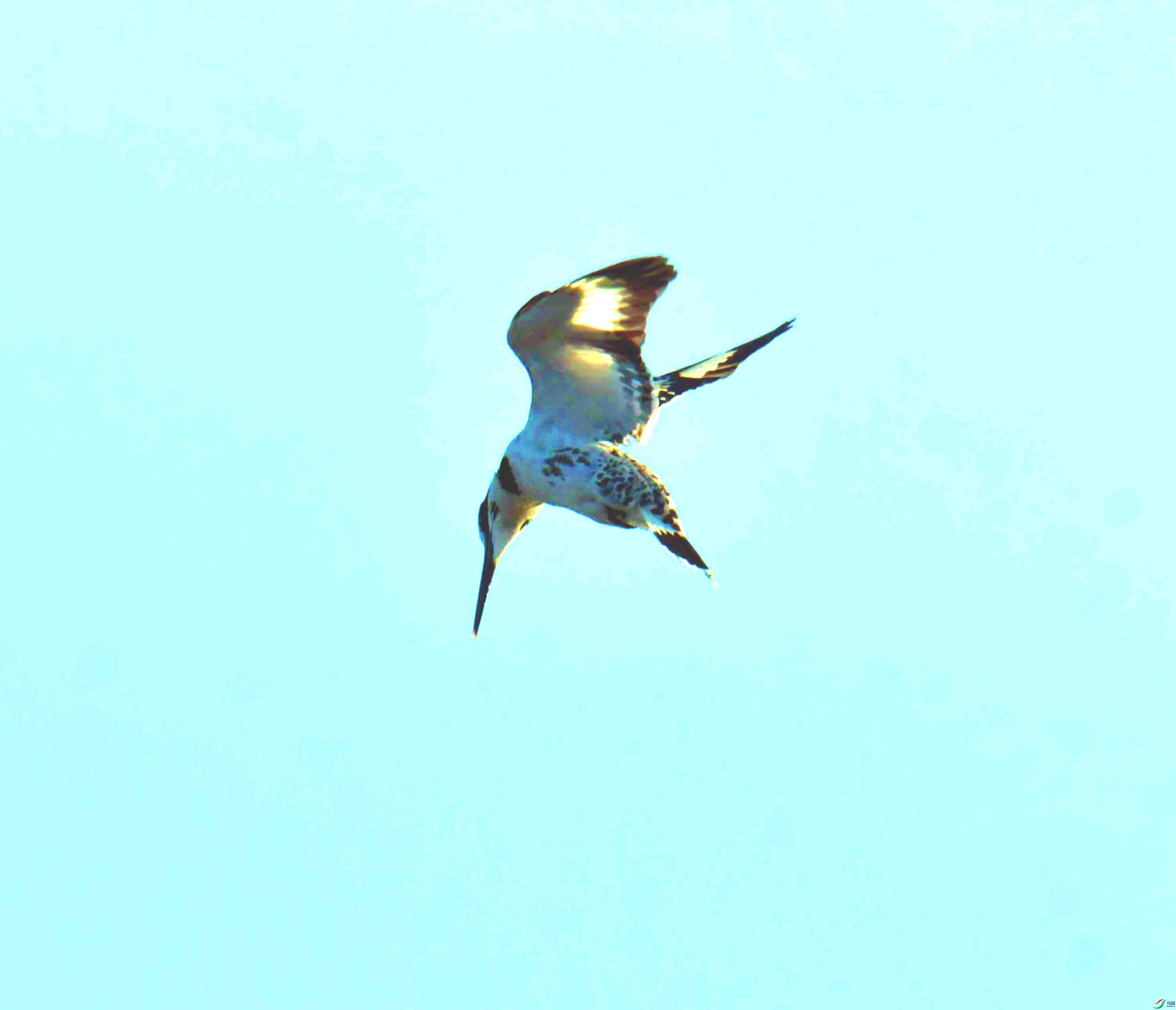 DSC_4023.JPG