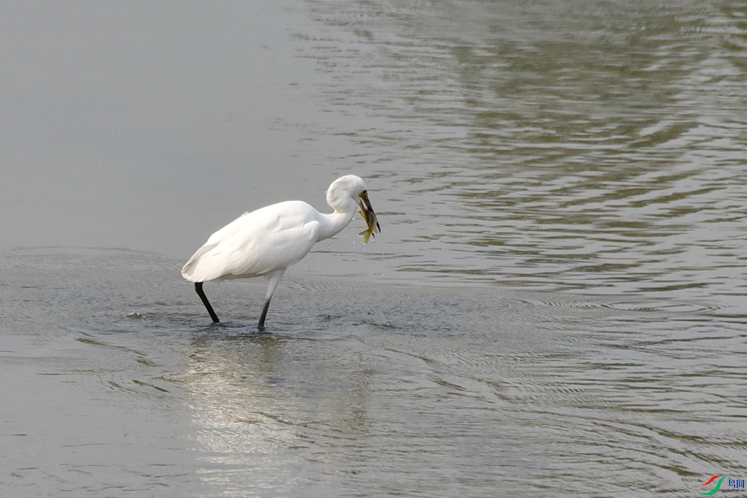 DSC_4031.JPG