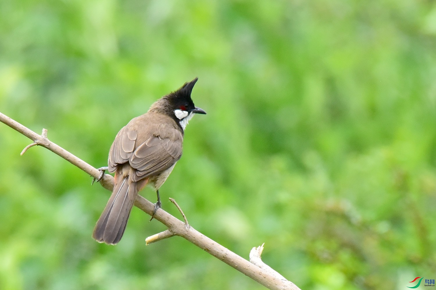 DSC_2705.JPG