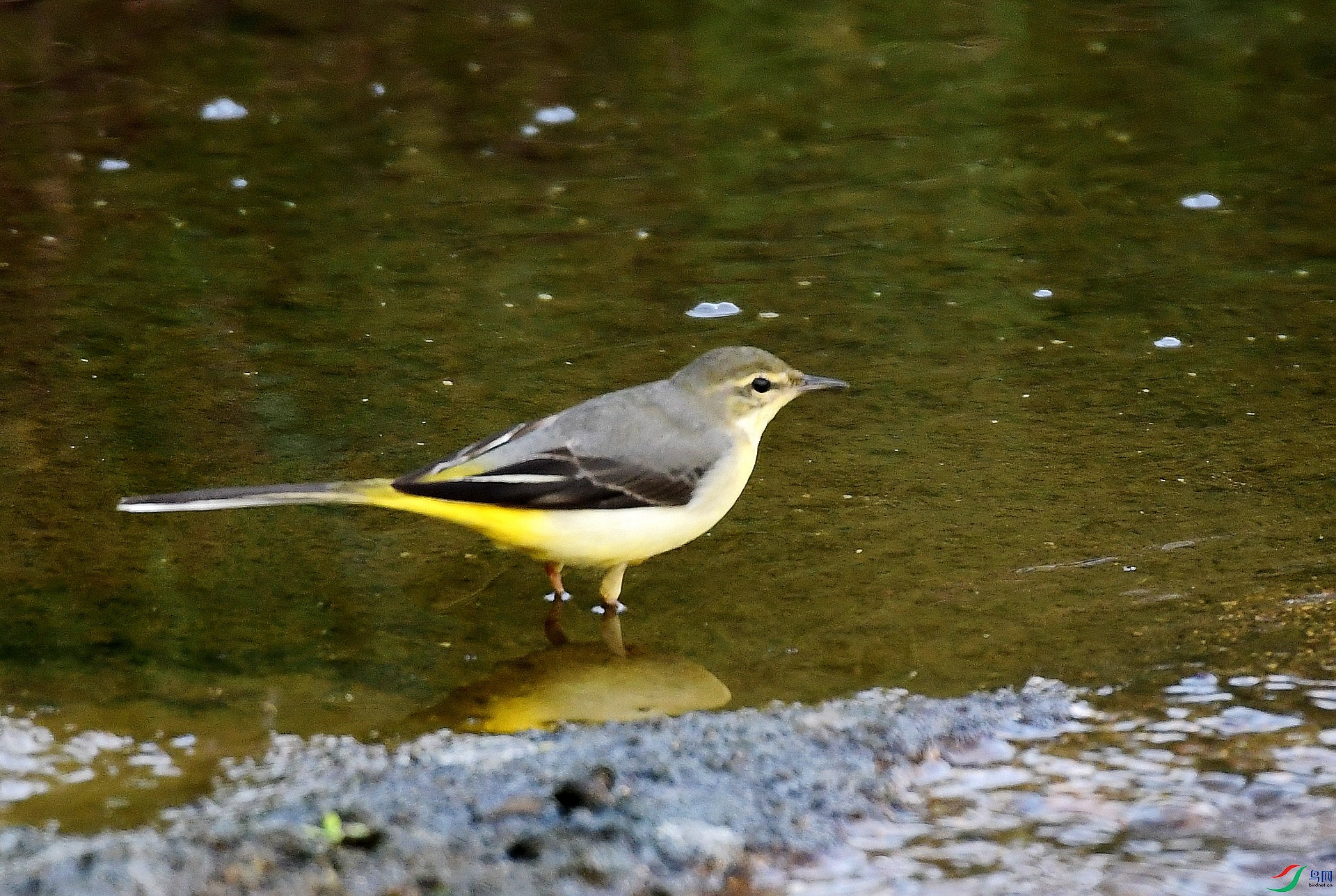 _D5D3044.jpg