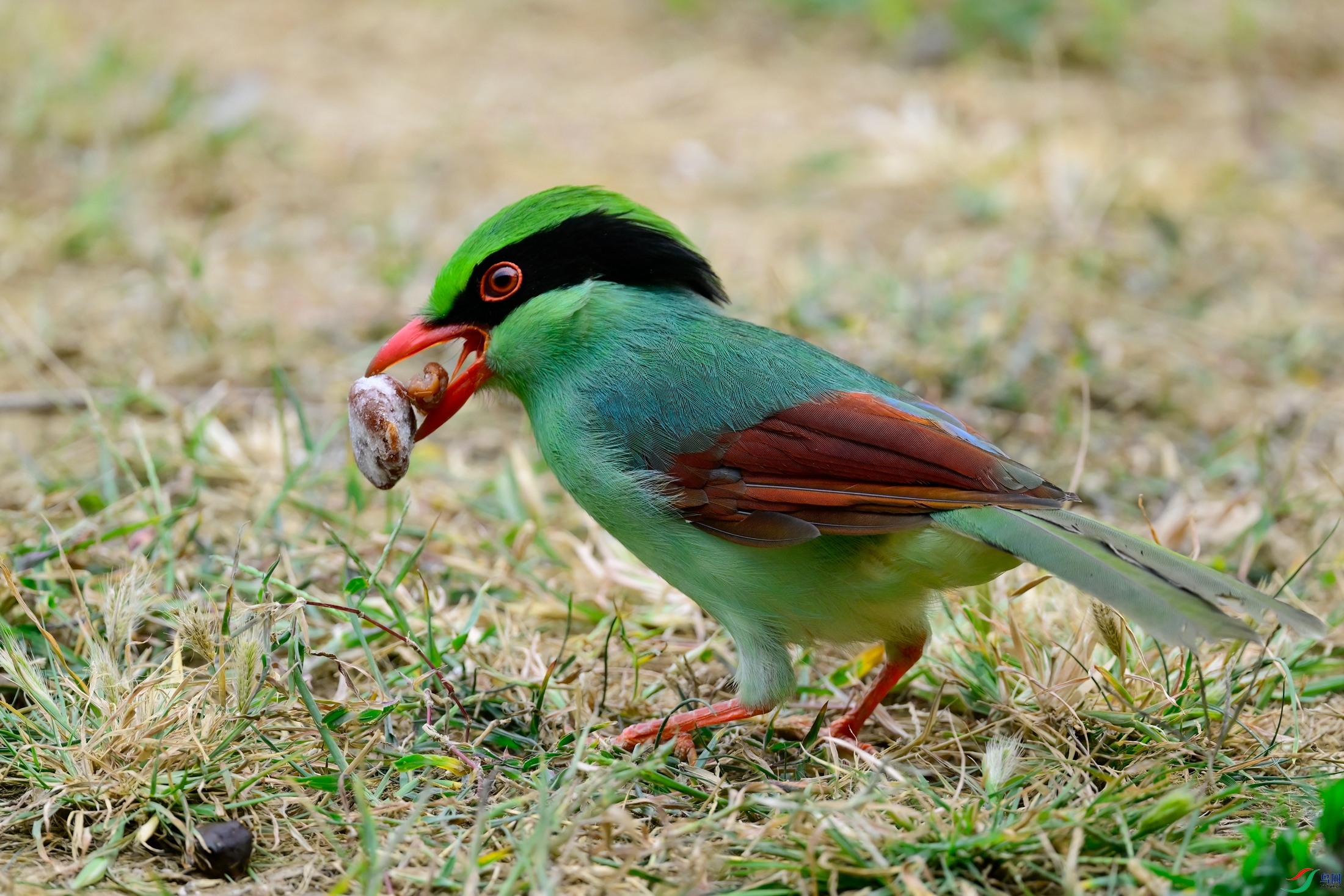 _DSC3192x.jpg