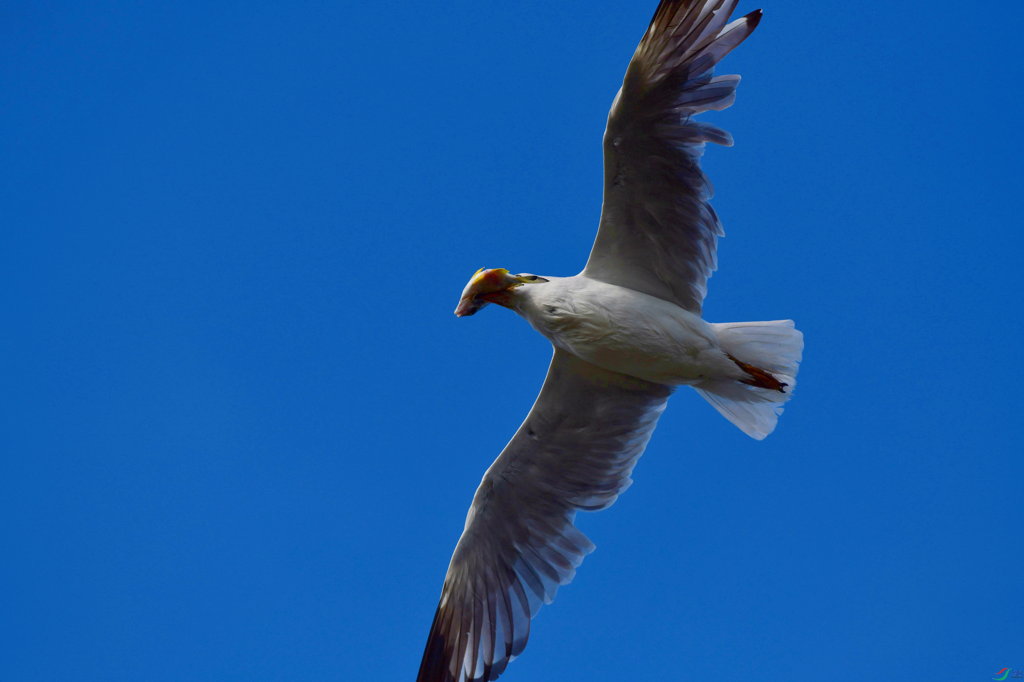 DSC_9893_��ͼ��_����.jpg
