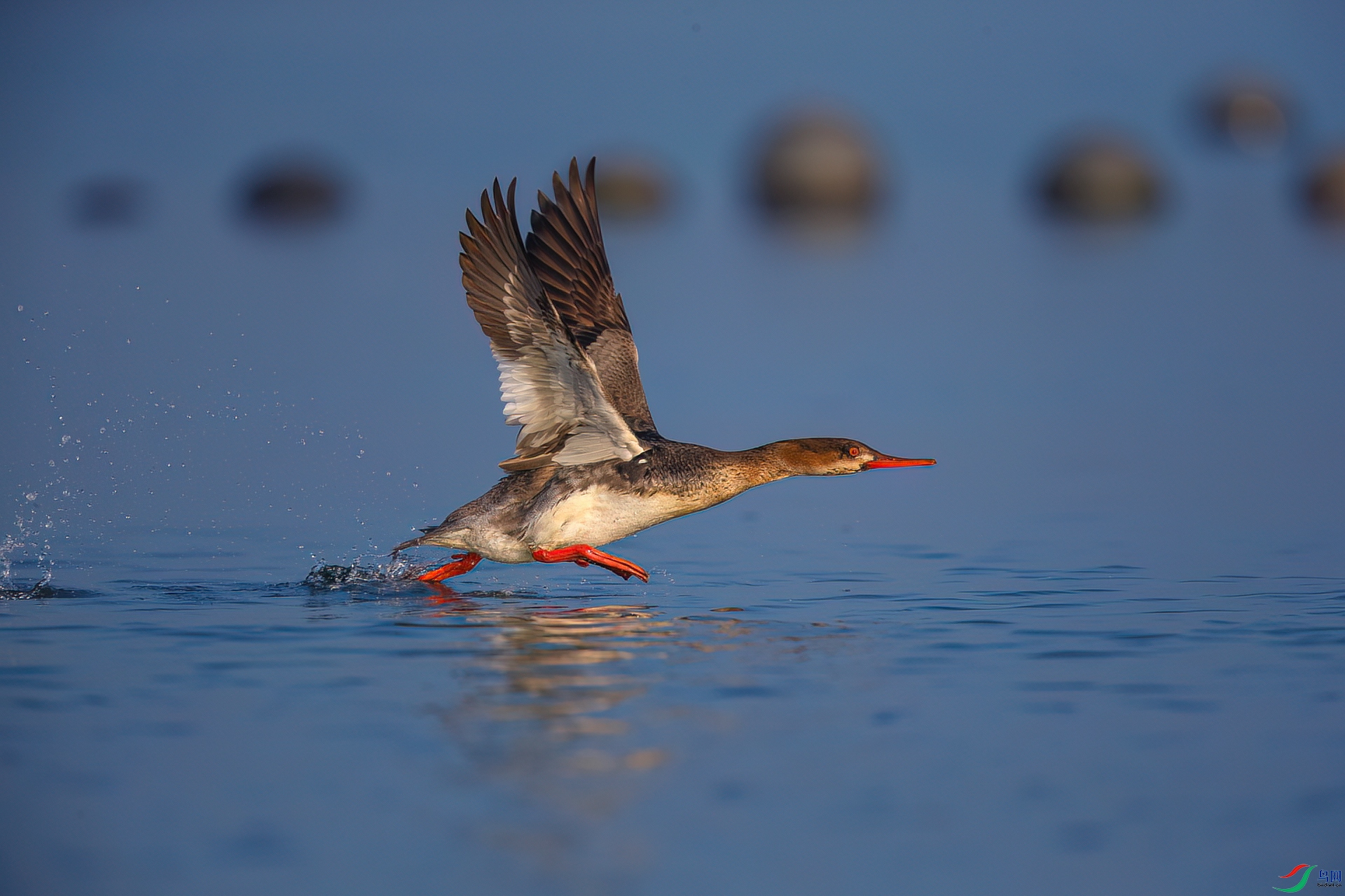 �����鼰����ʱ�������ƴ�Ϣ�Ľ���