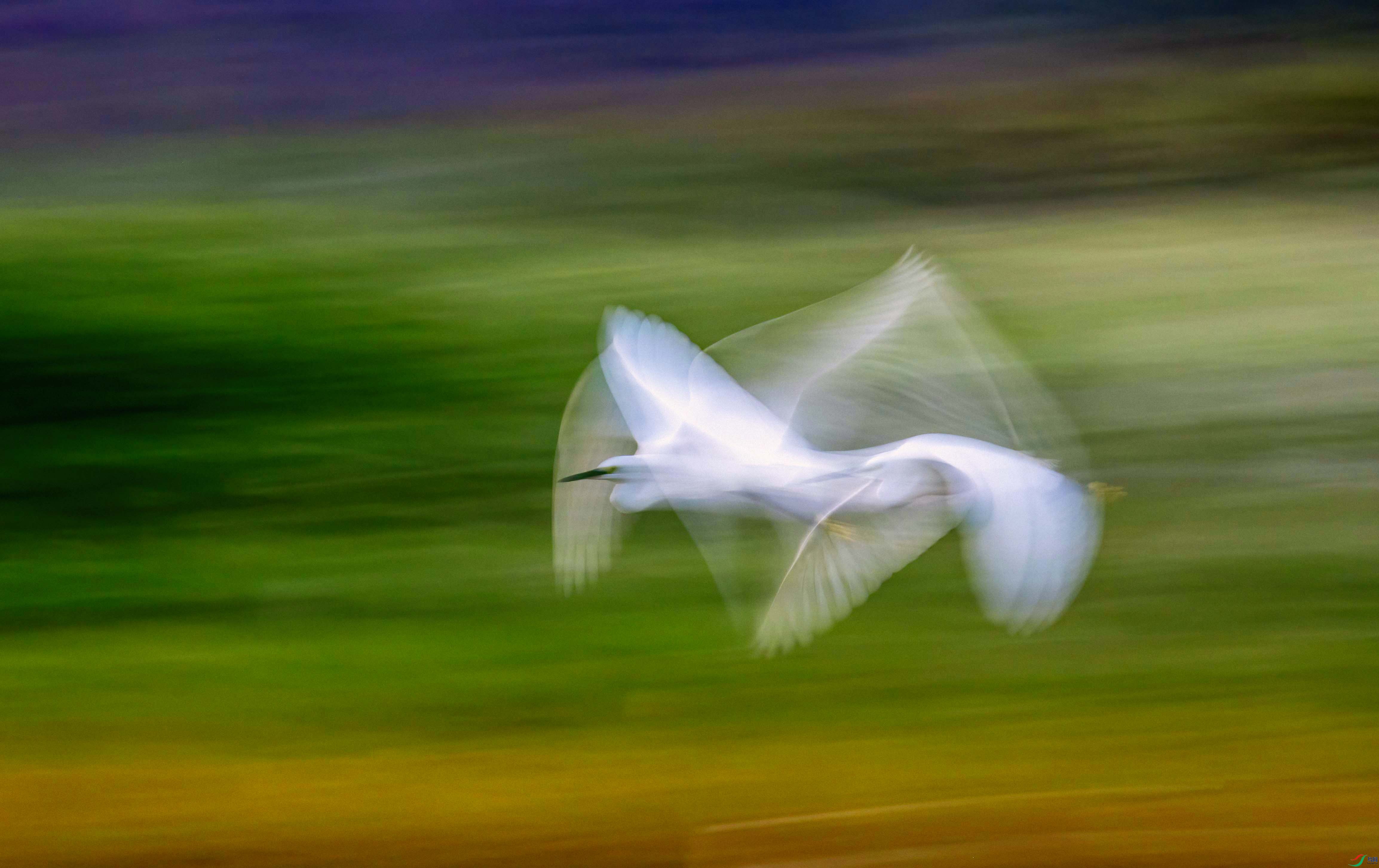 DSC_2664 ���� 2.jpg