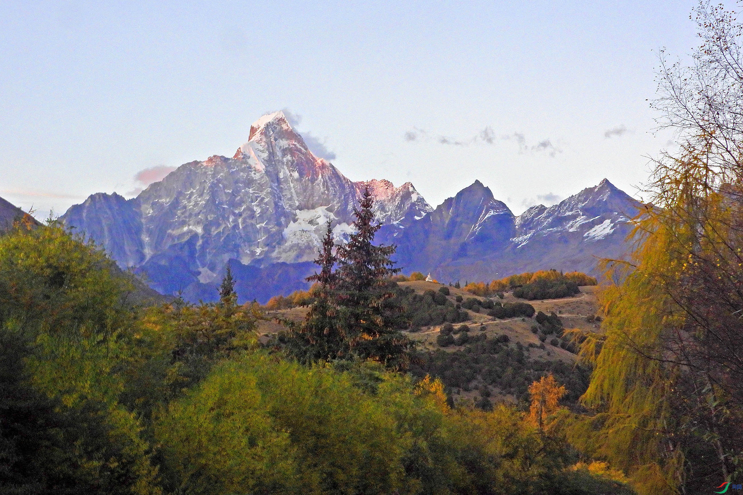 DSCN4437.jpg