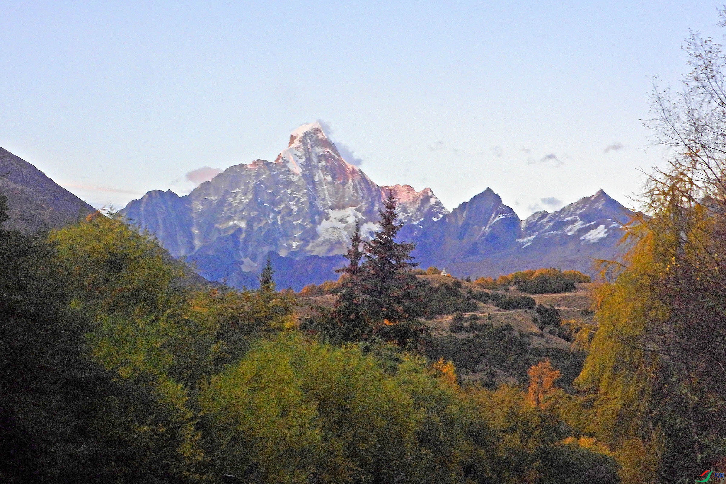 DSCN4436.jpg