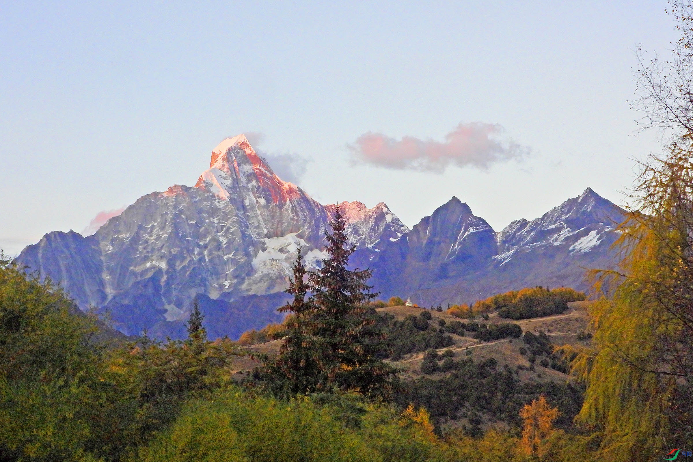 DSCN4441.jpg