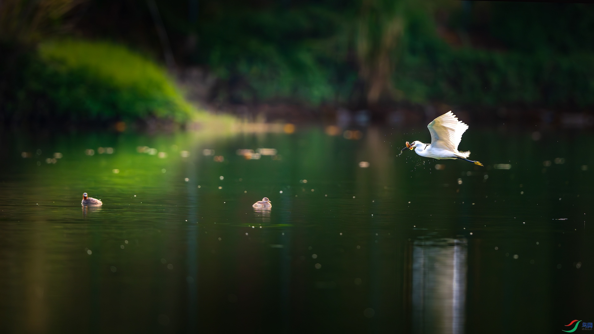 1_XXL9922-����ǿ-NR ����-1.jpg