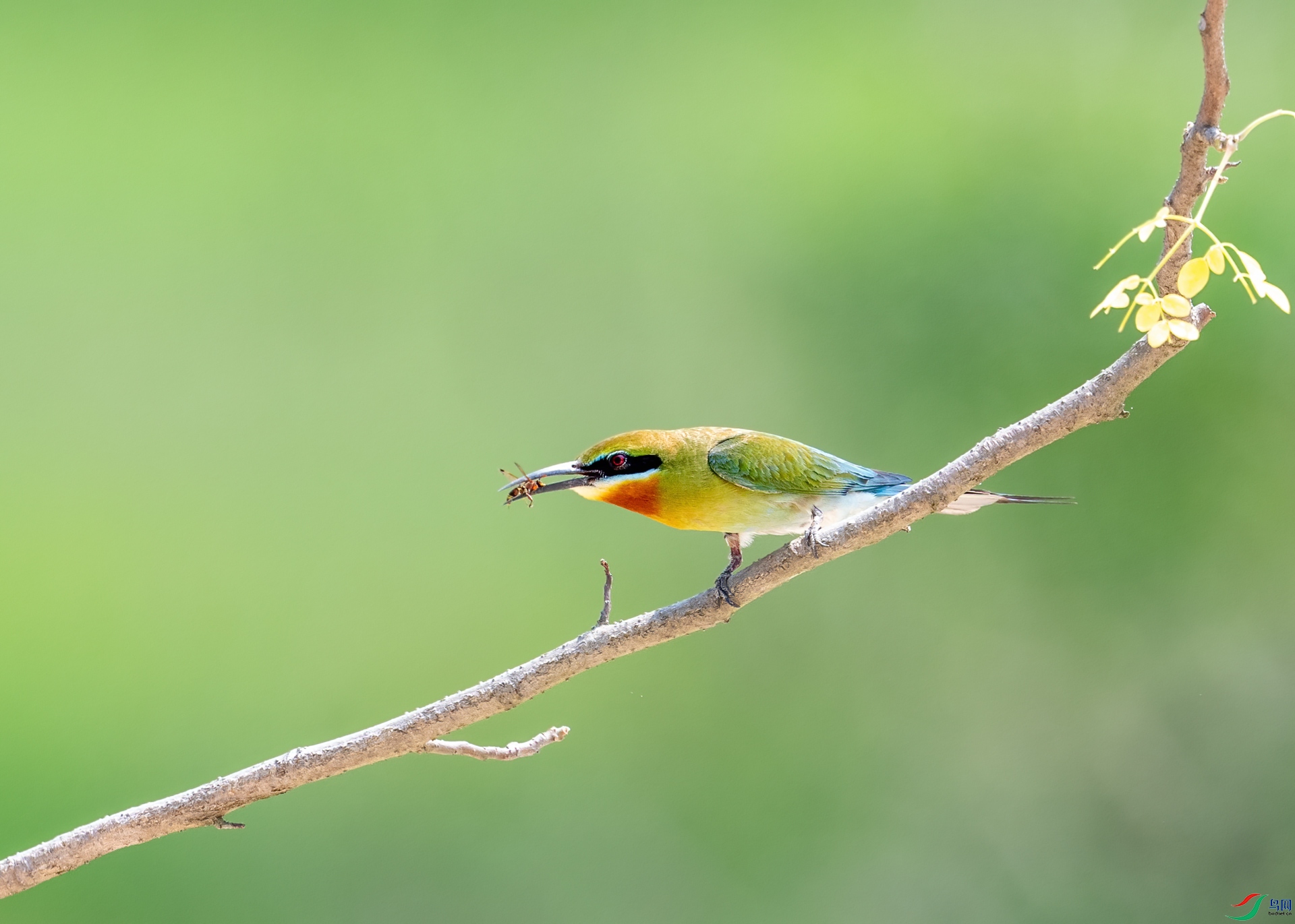 DSC_9622-1.jpg