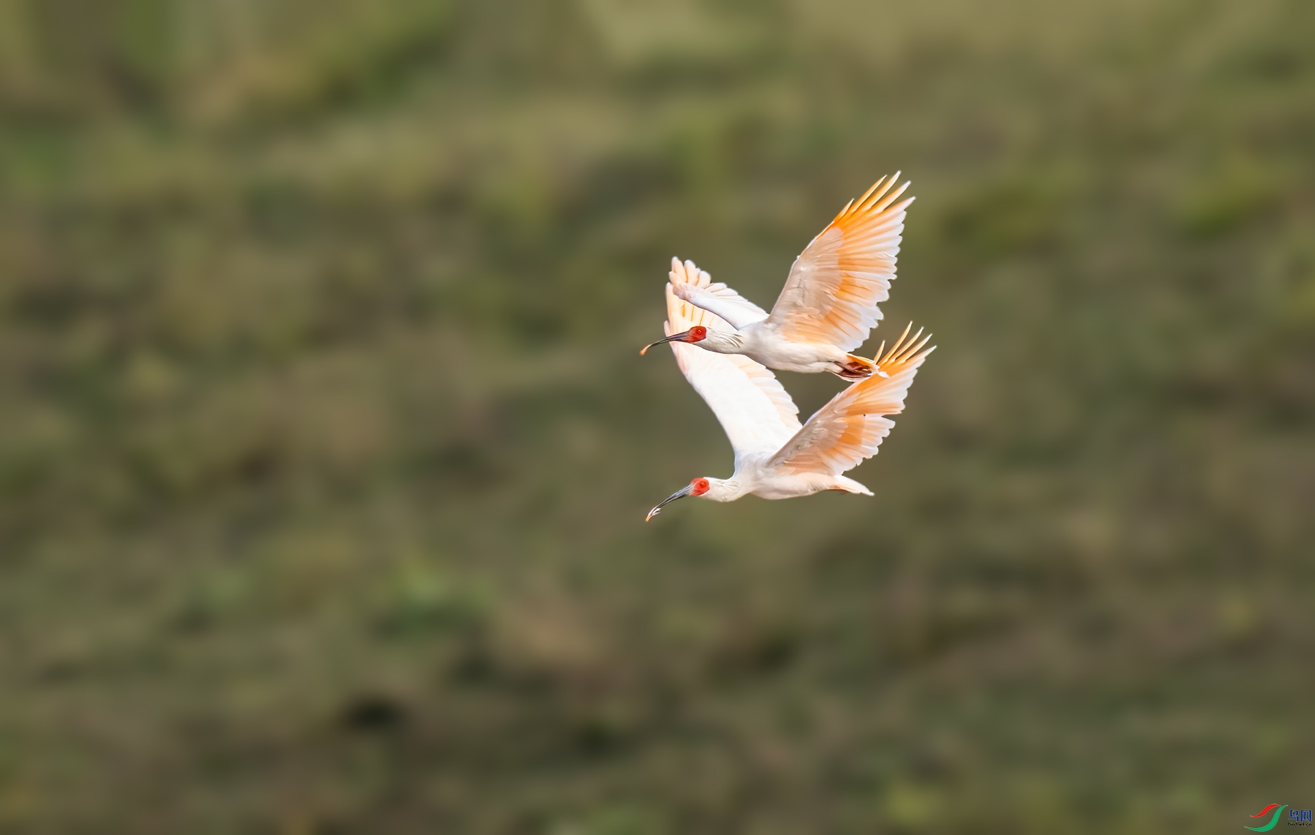 DSC_9359.jpg