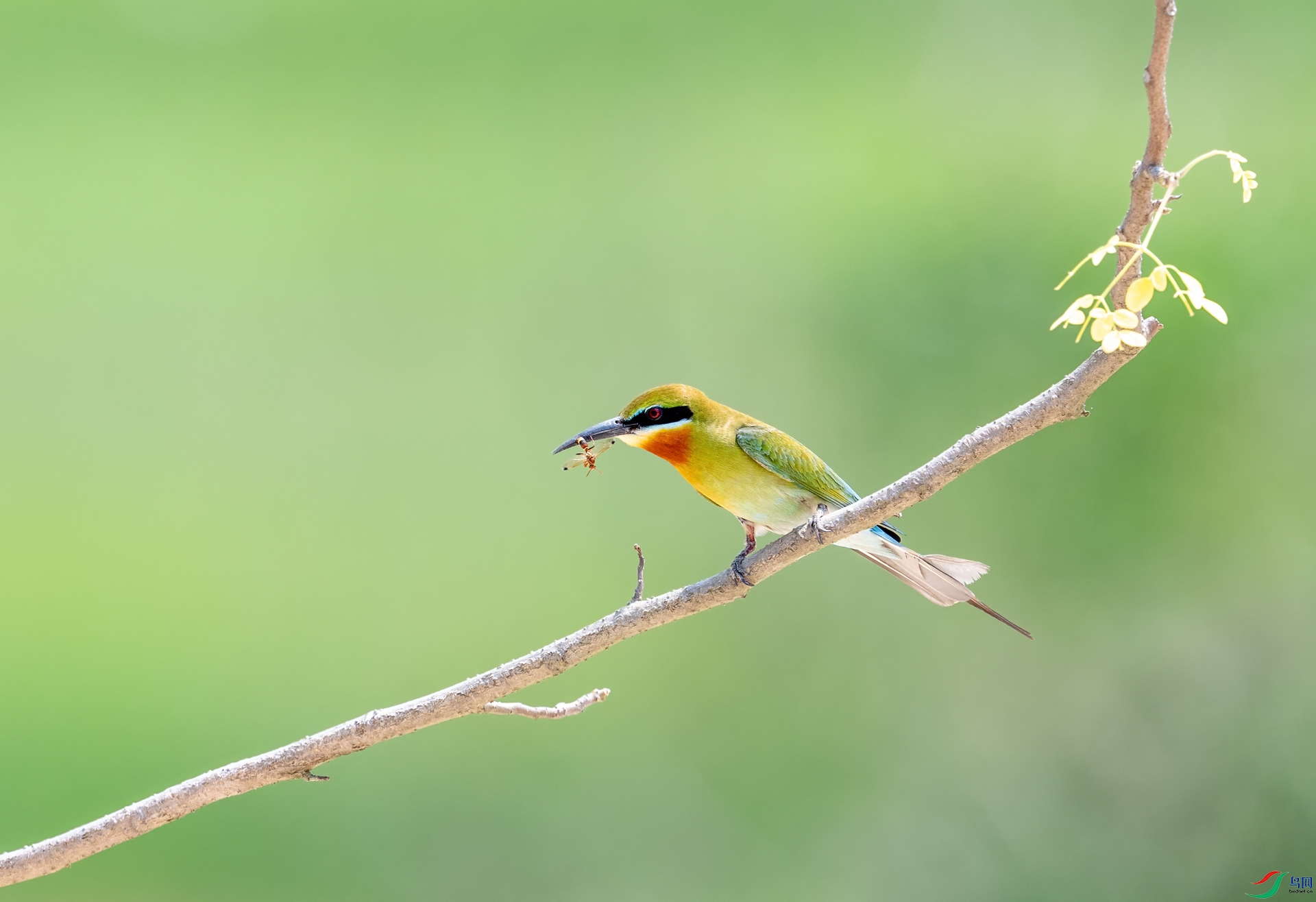 DSC_9650-1.jpg