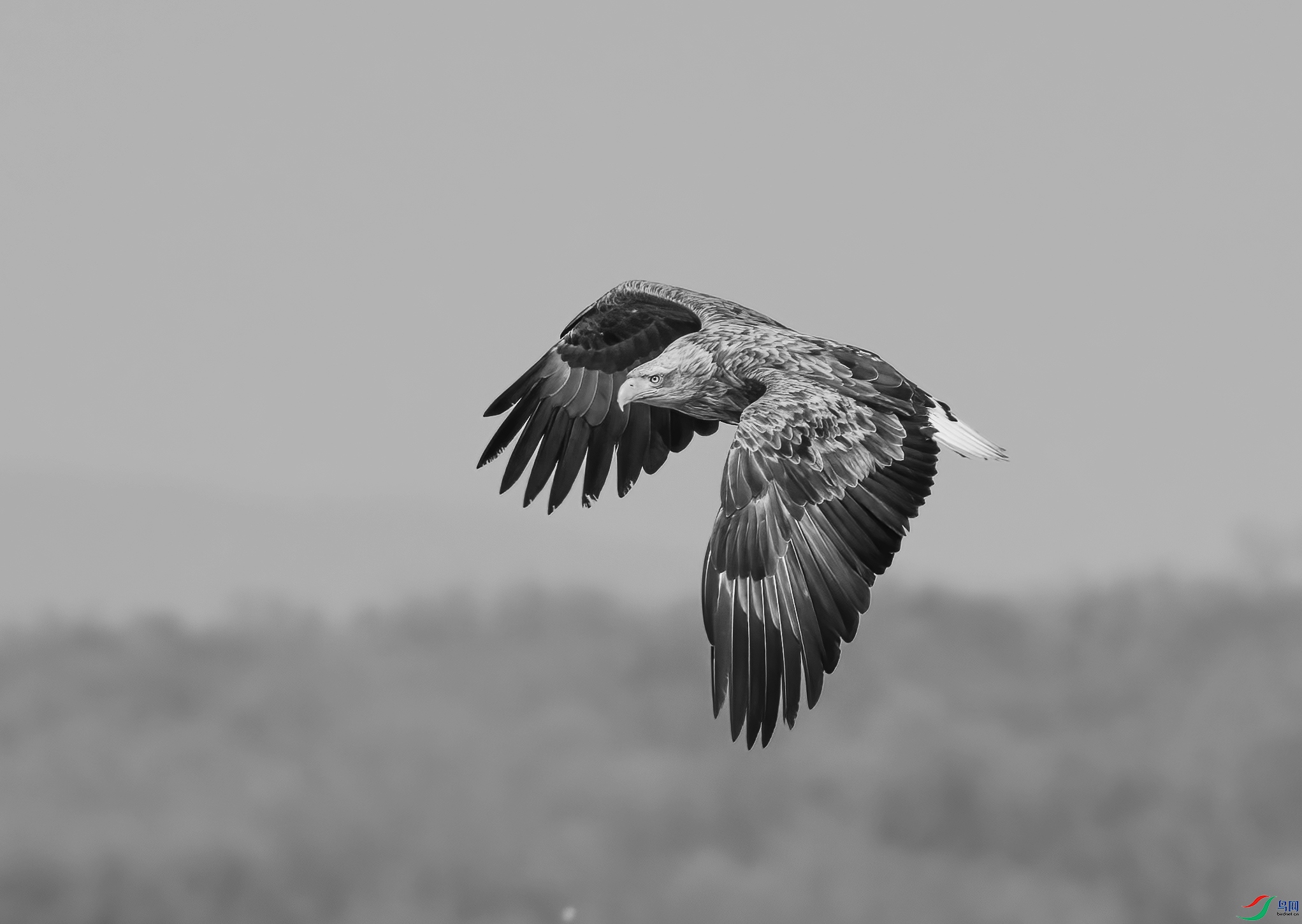 DSC00007 (2) ����.jpg