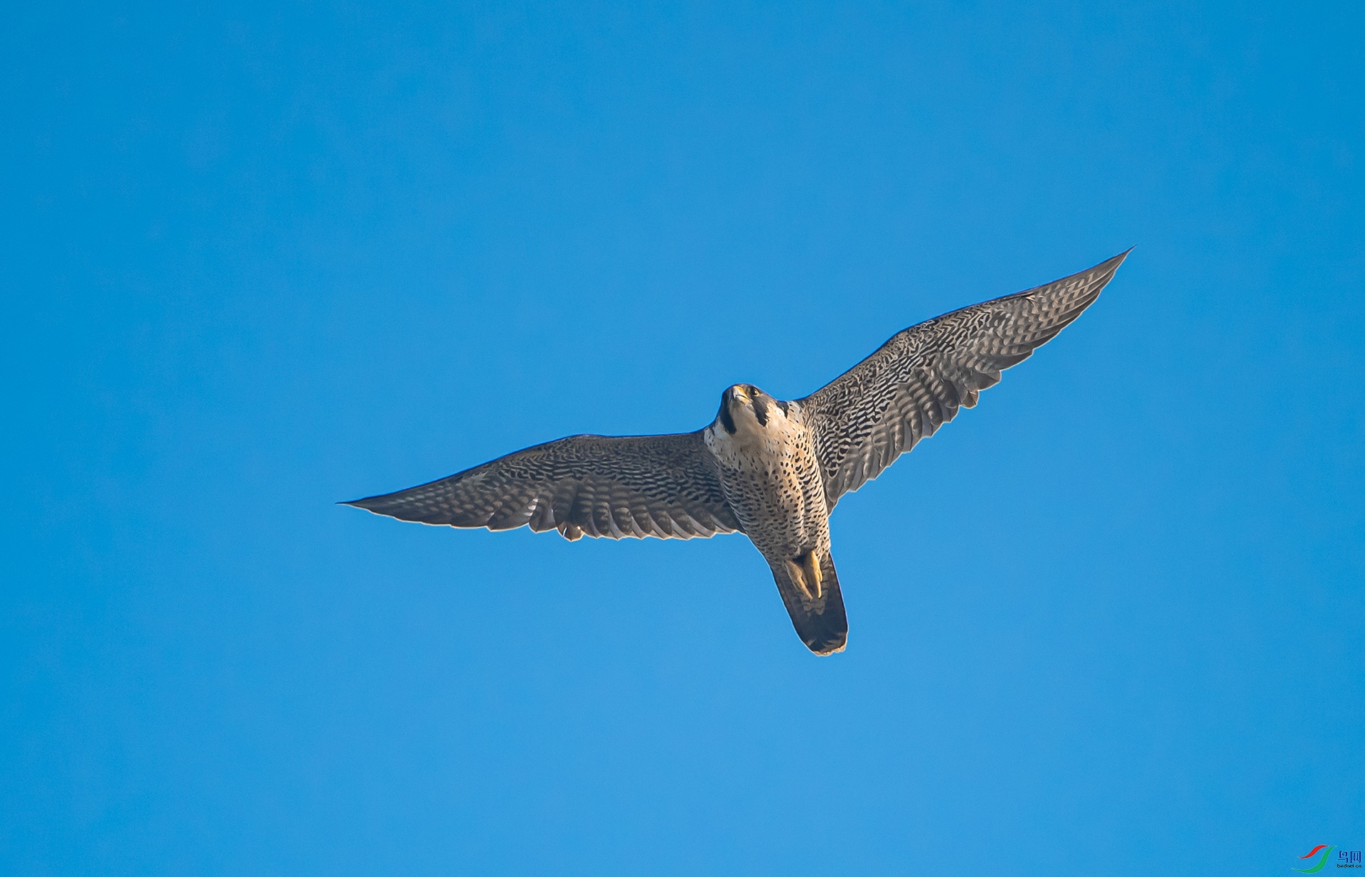 DSC_4545.jpg