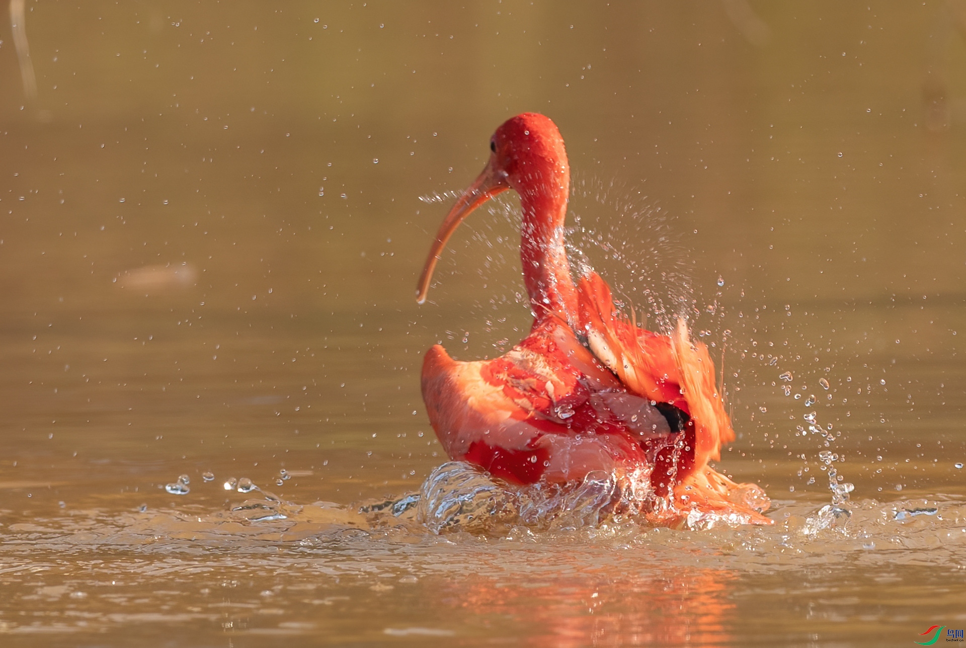 B86I6153 _����.jpg