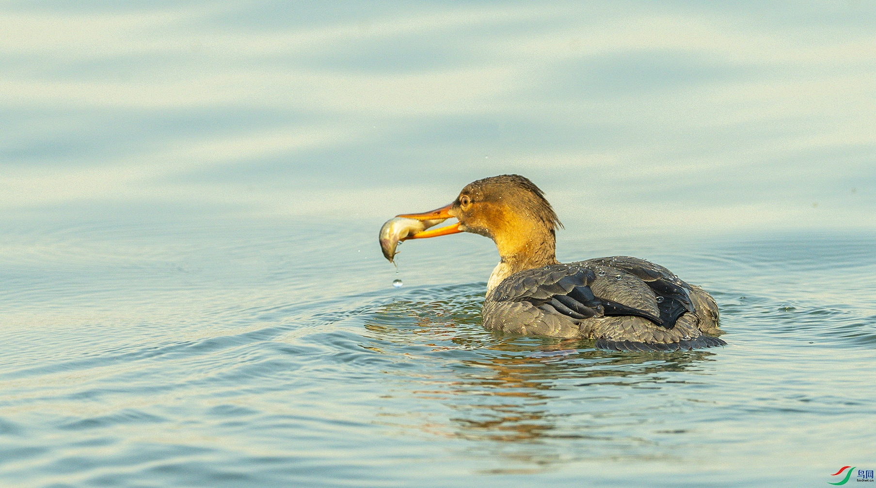 1312 ����.jpg