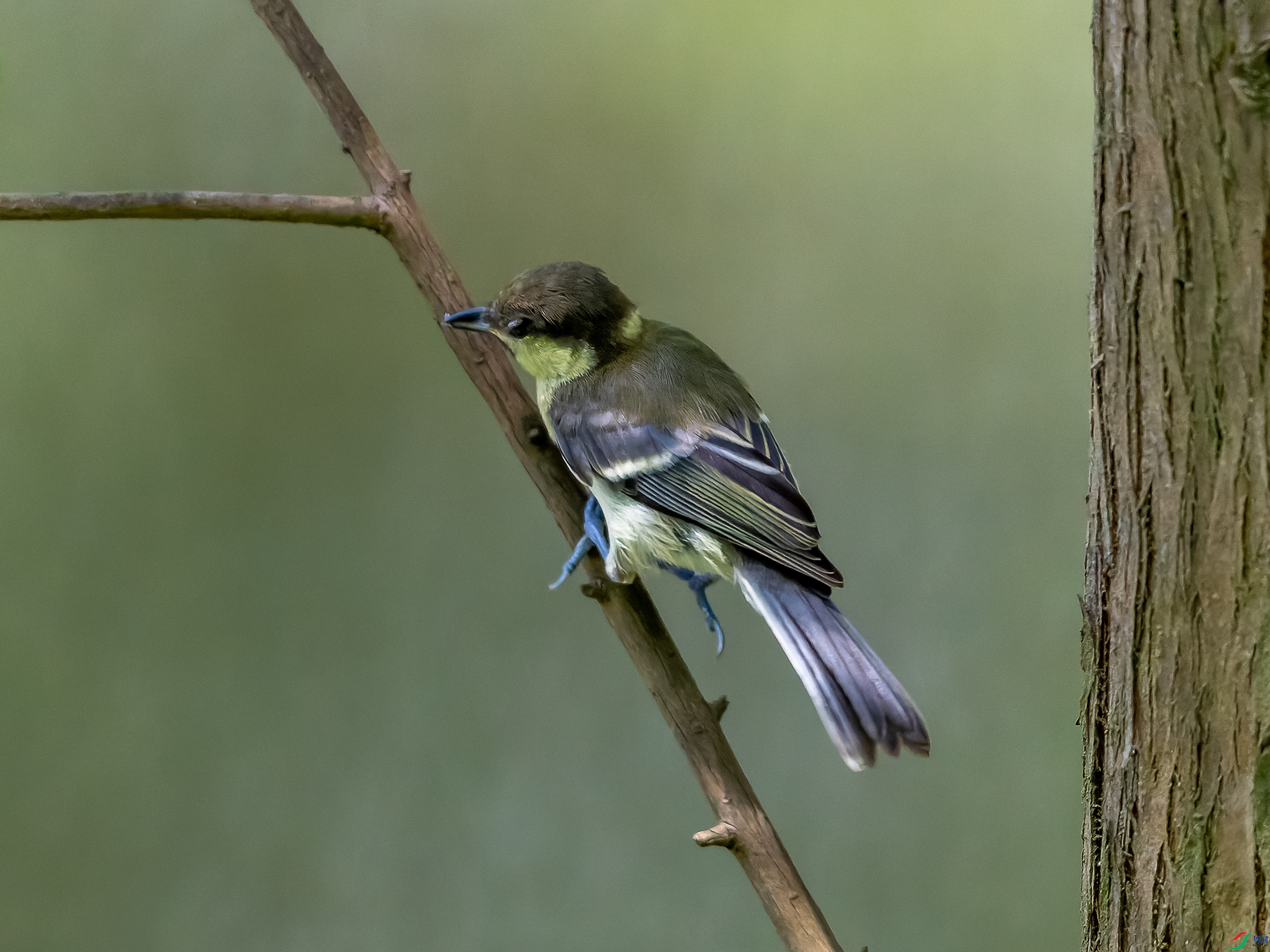 DSC03912-1.jpg