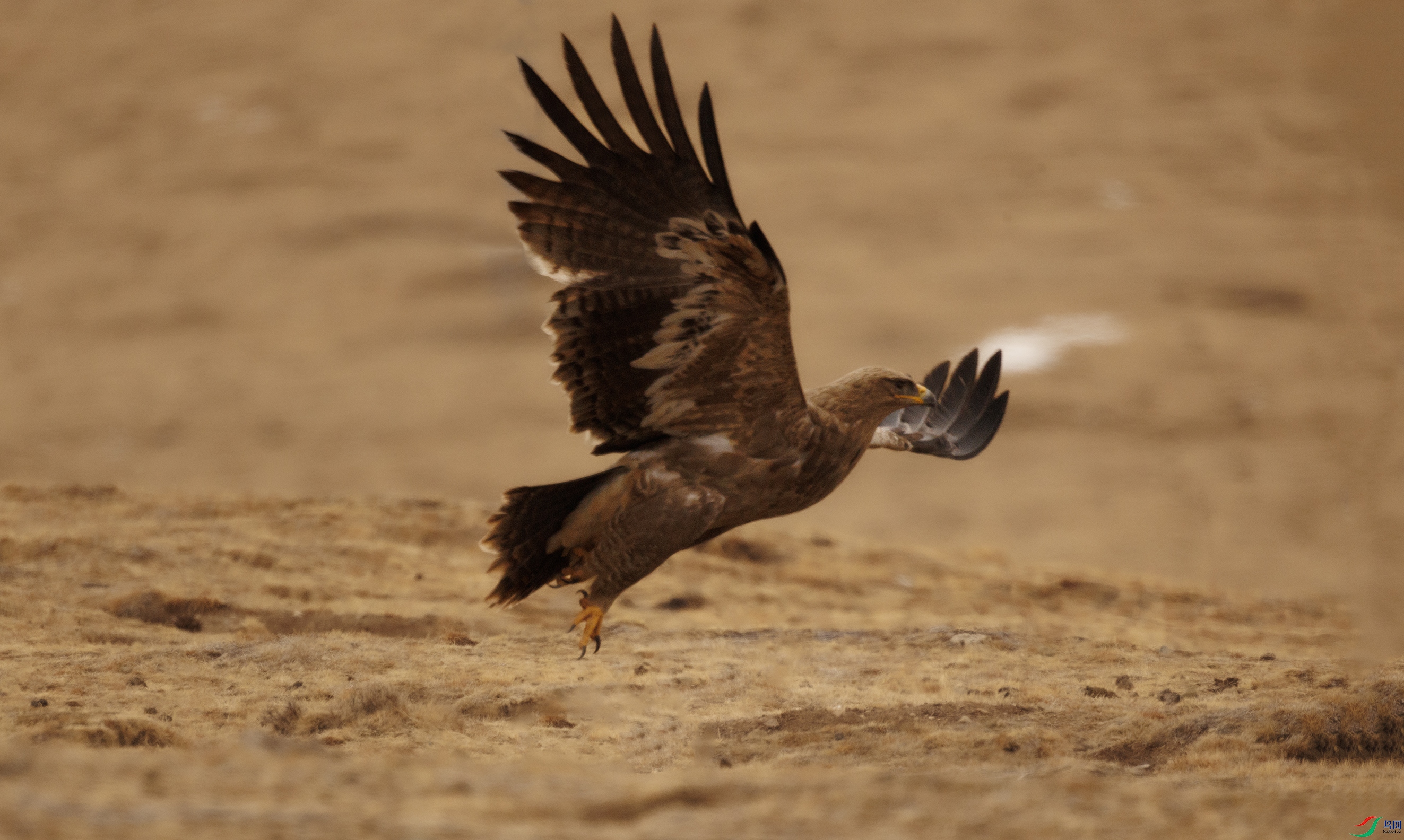 7X5A3942 ����0000.jpg