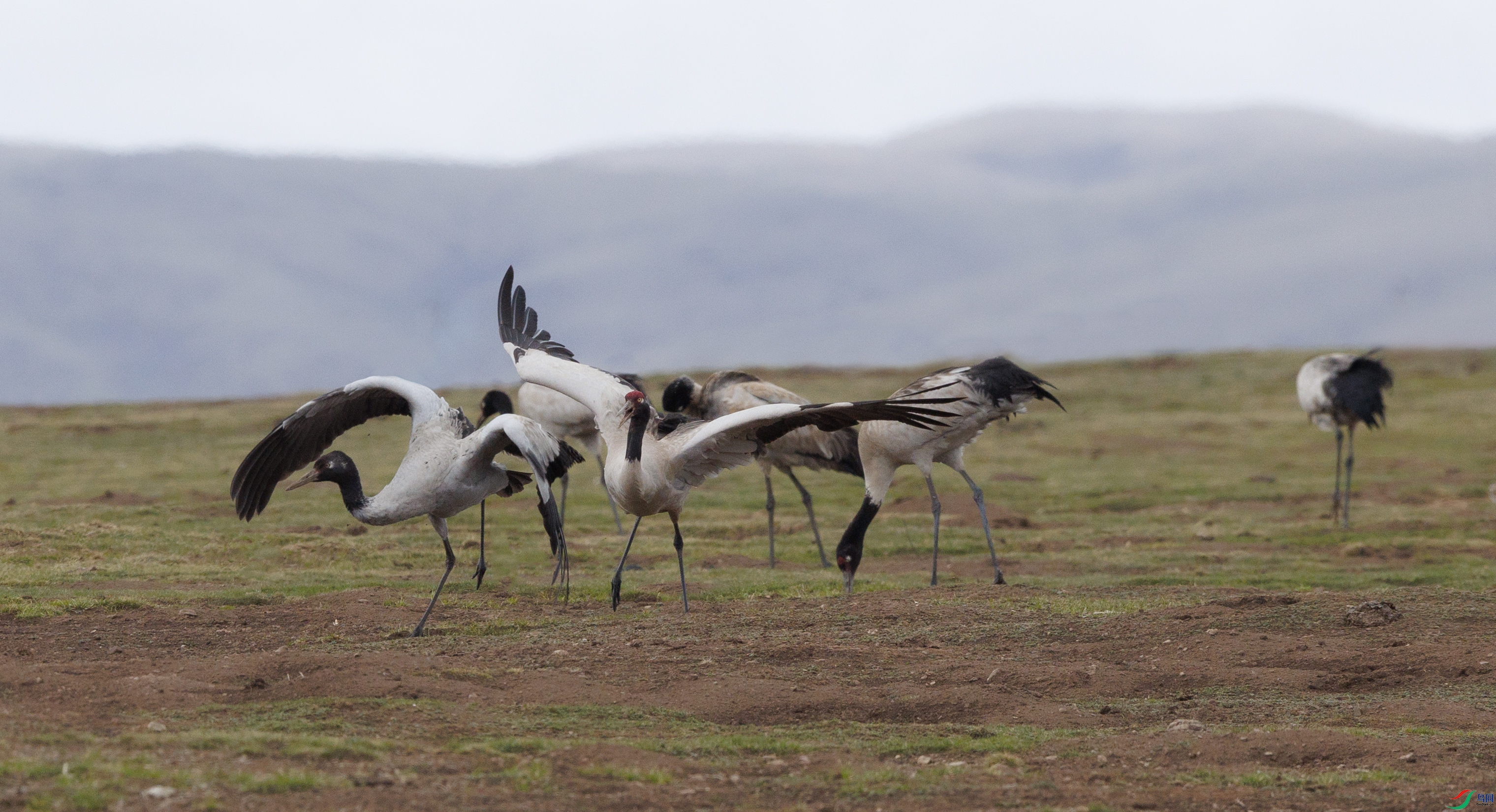 7X5A8759 ����.jpg