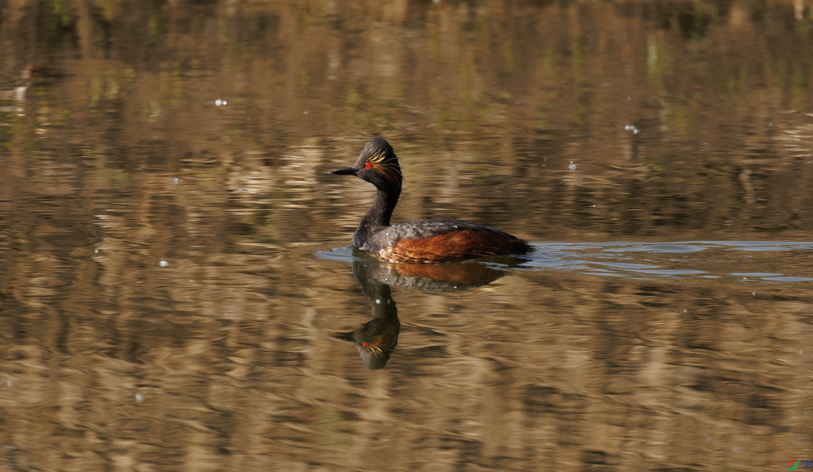 7X5A0319 ����00000.jpg