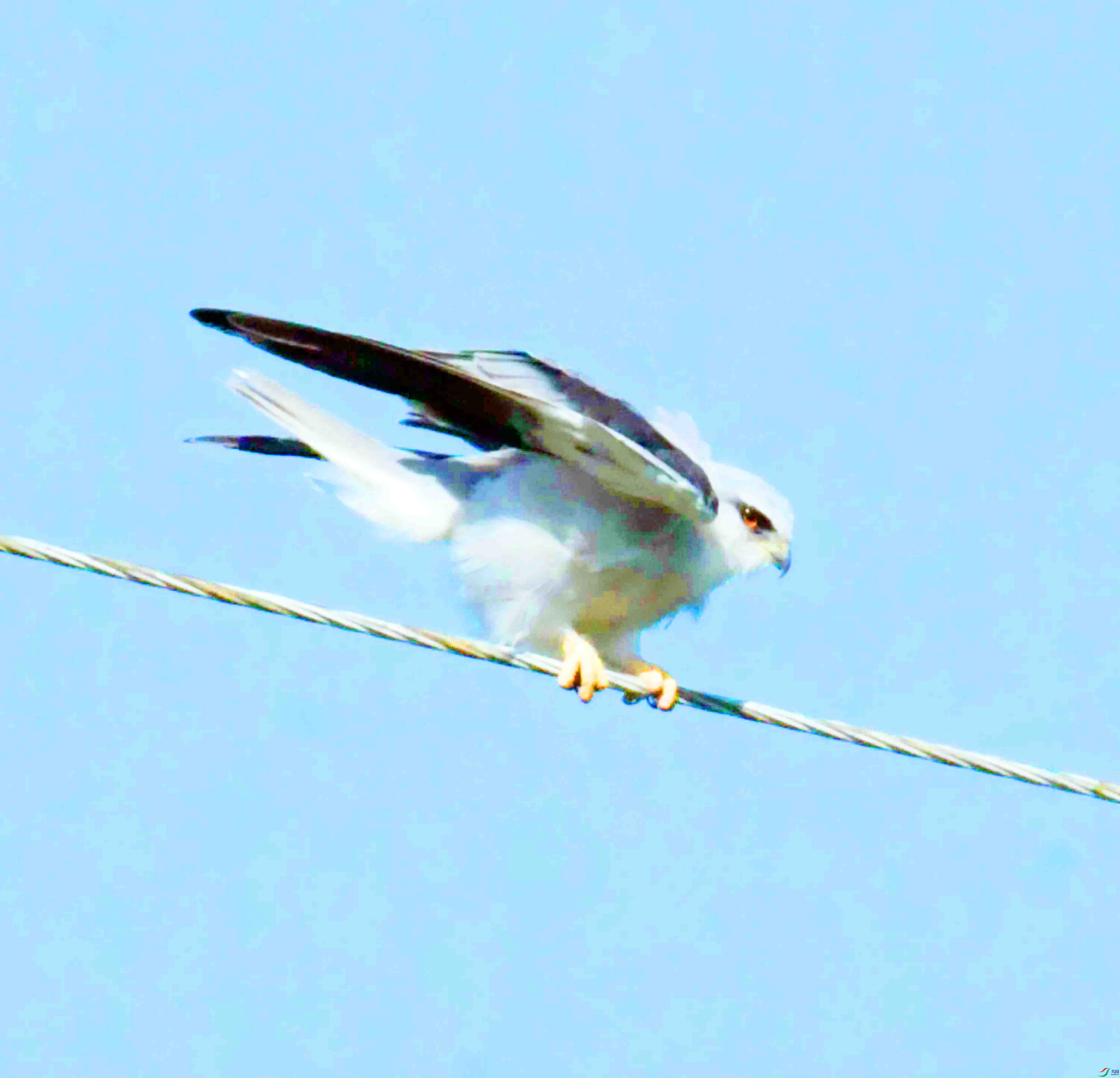 DSC_5861.JPG
