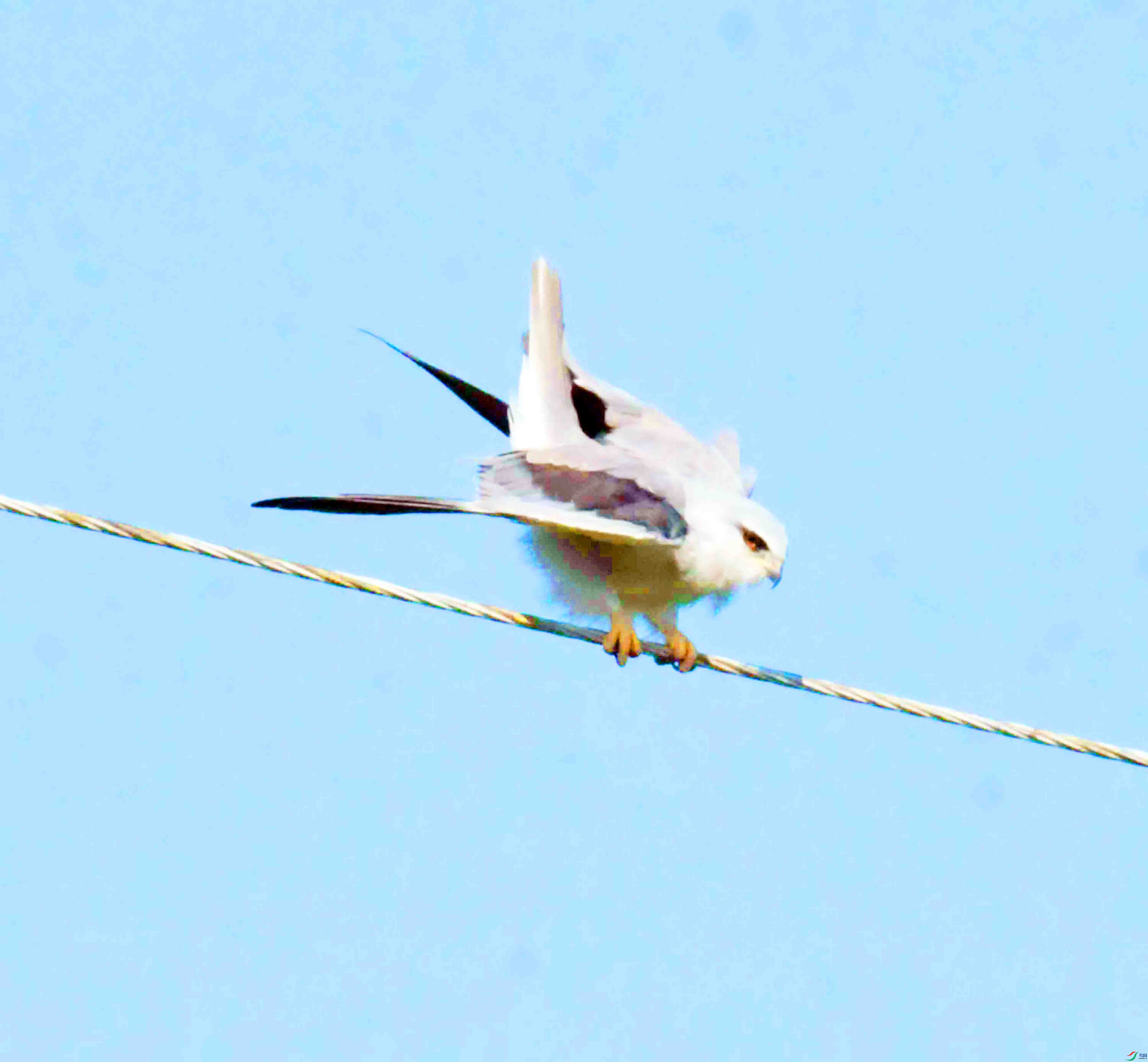 DSC_5860.JPG