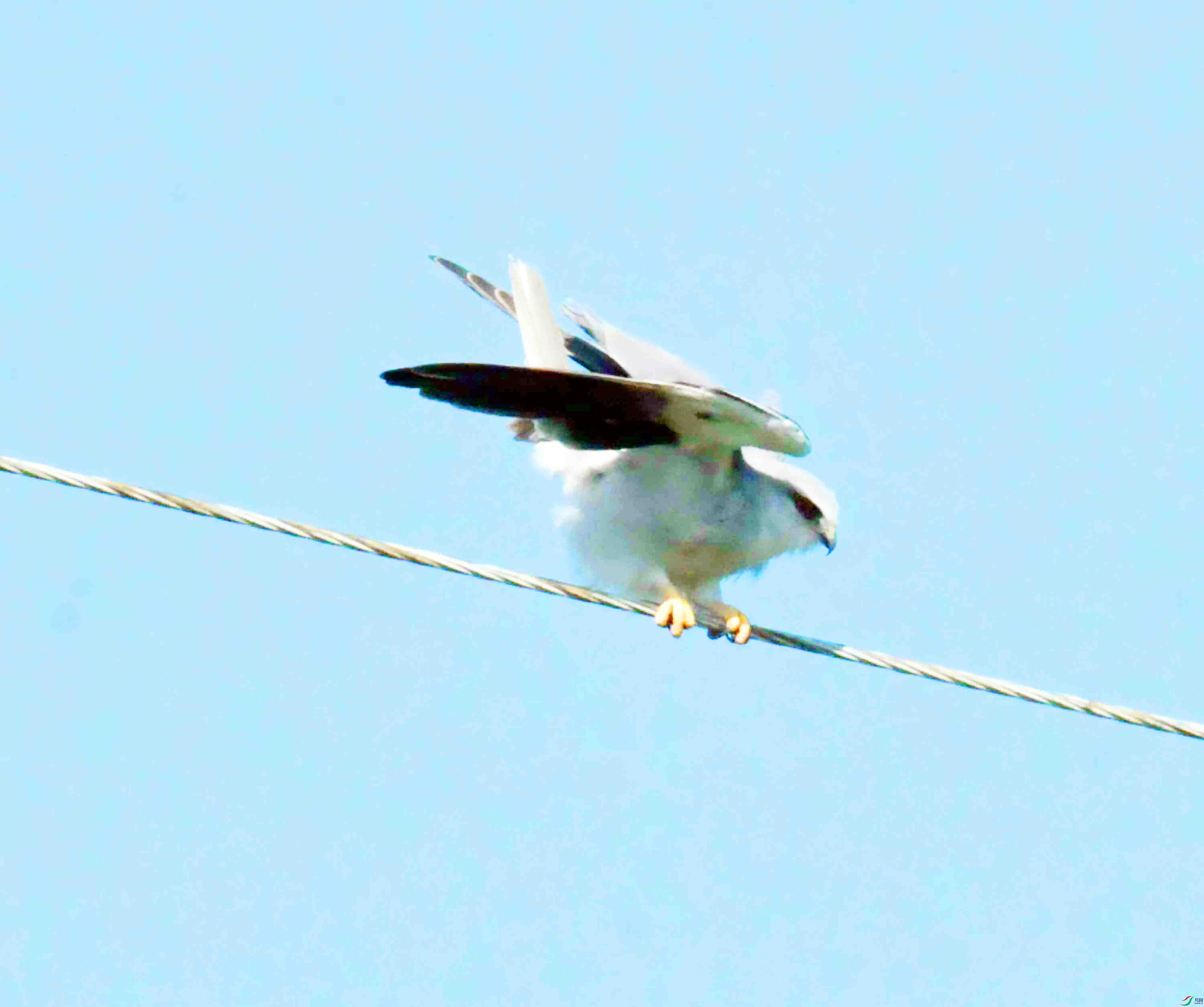 DSC_5862.JPG
